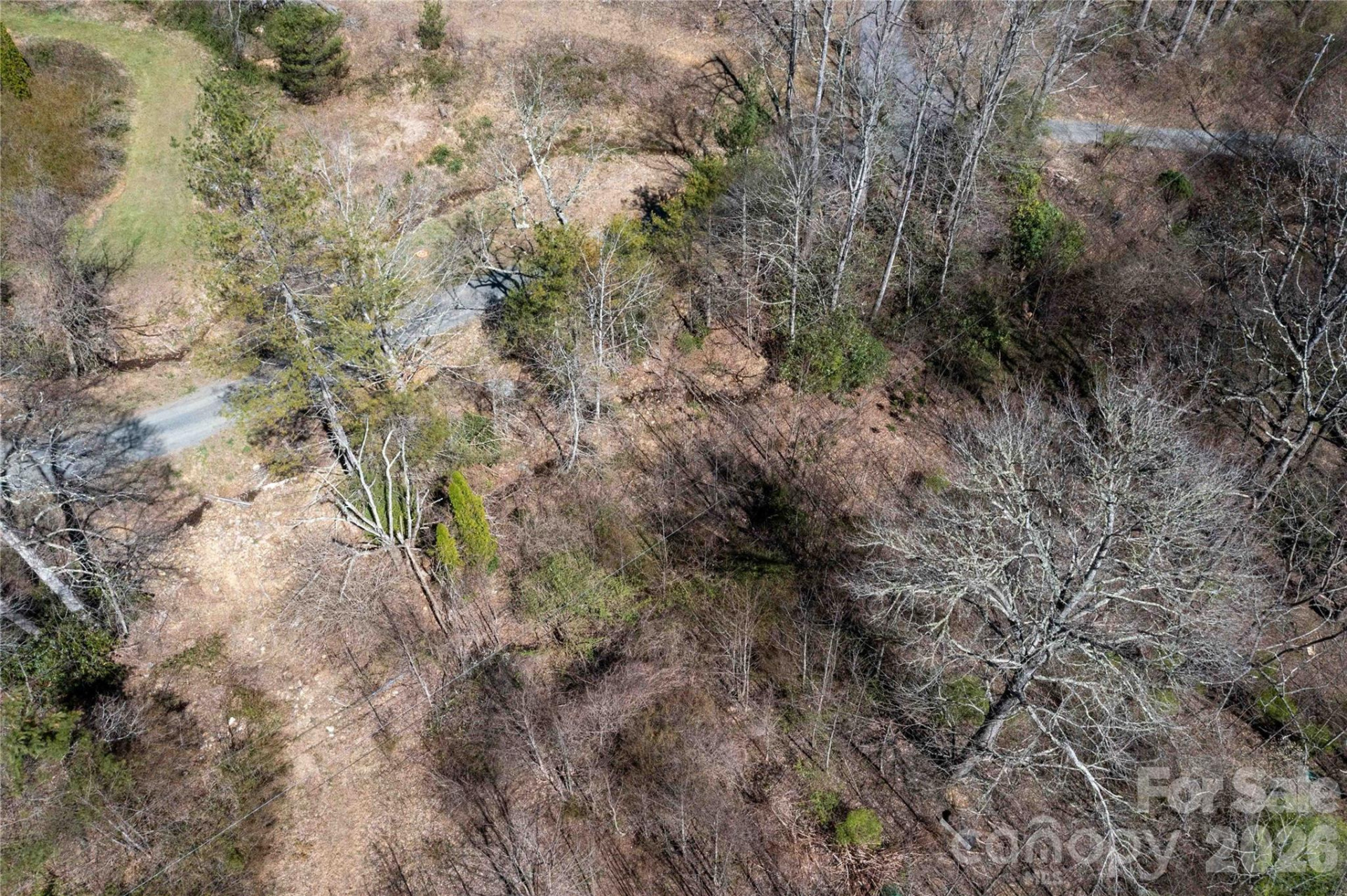 99 Banjo Branch Road - Photo 4