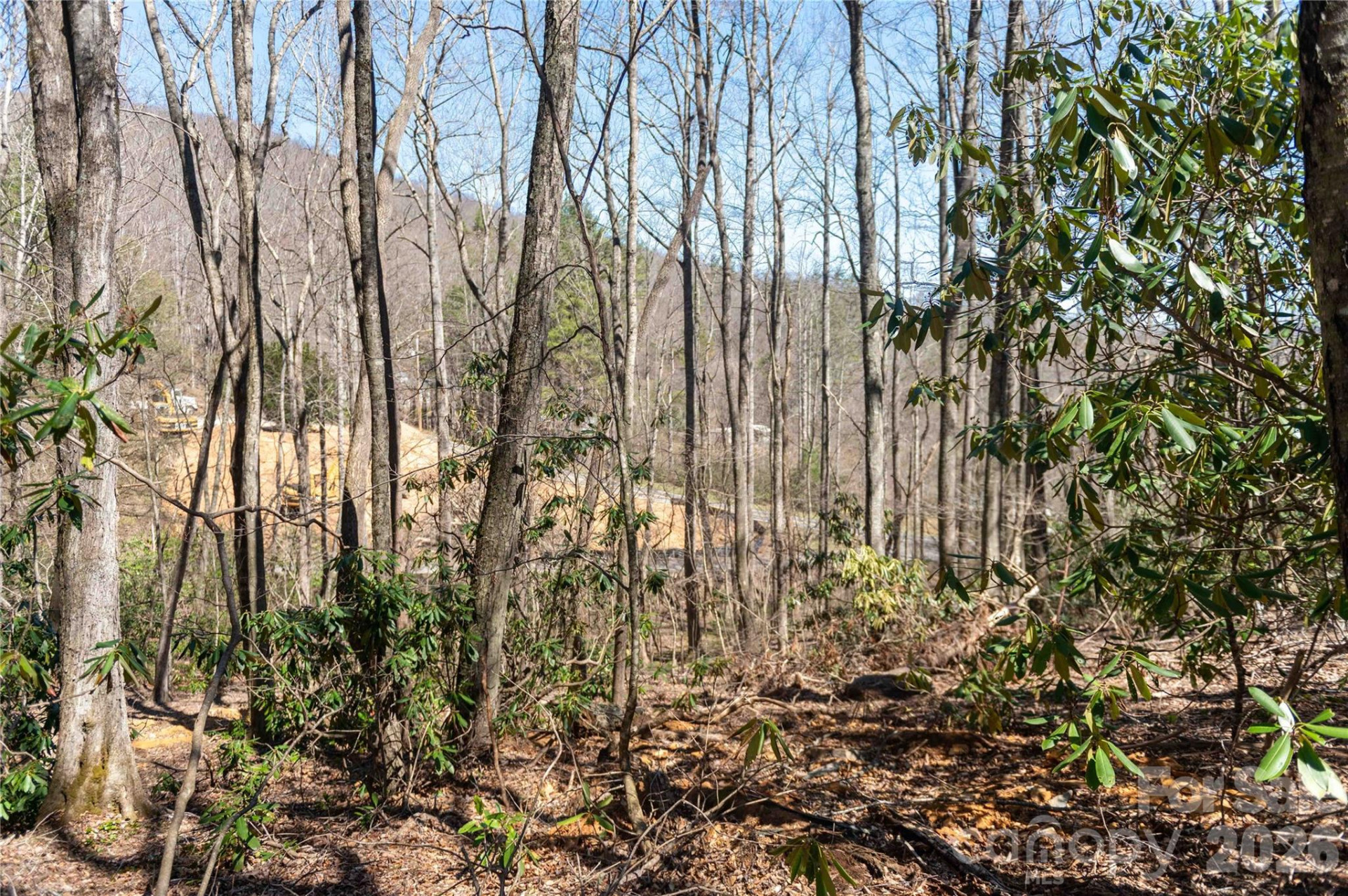 99 Banjo Branch Road - Photo 25