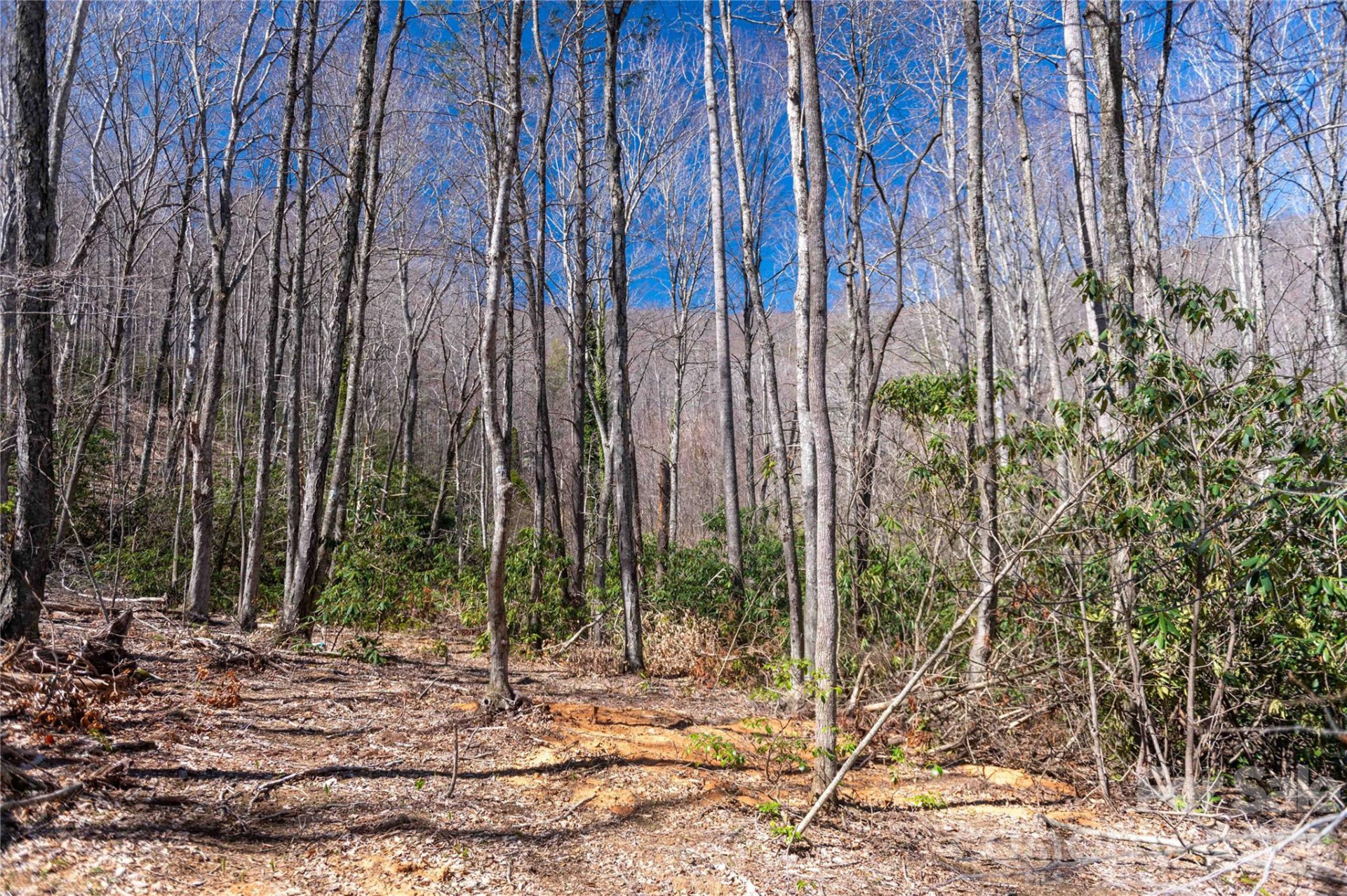 99 Banjo Branch Road - Photo 26