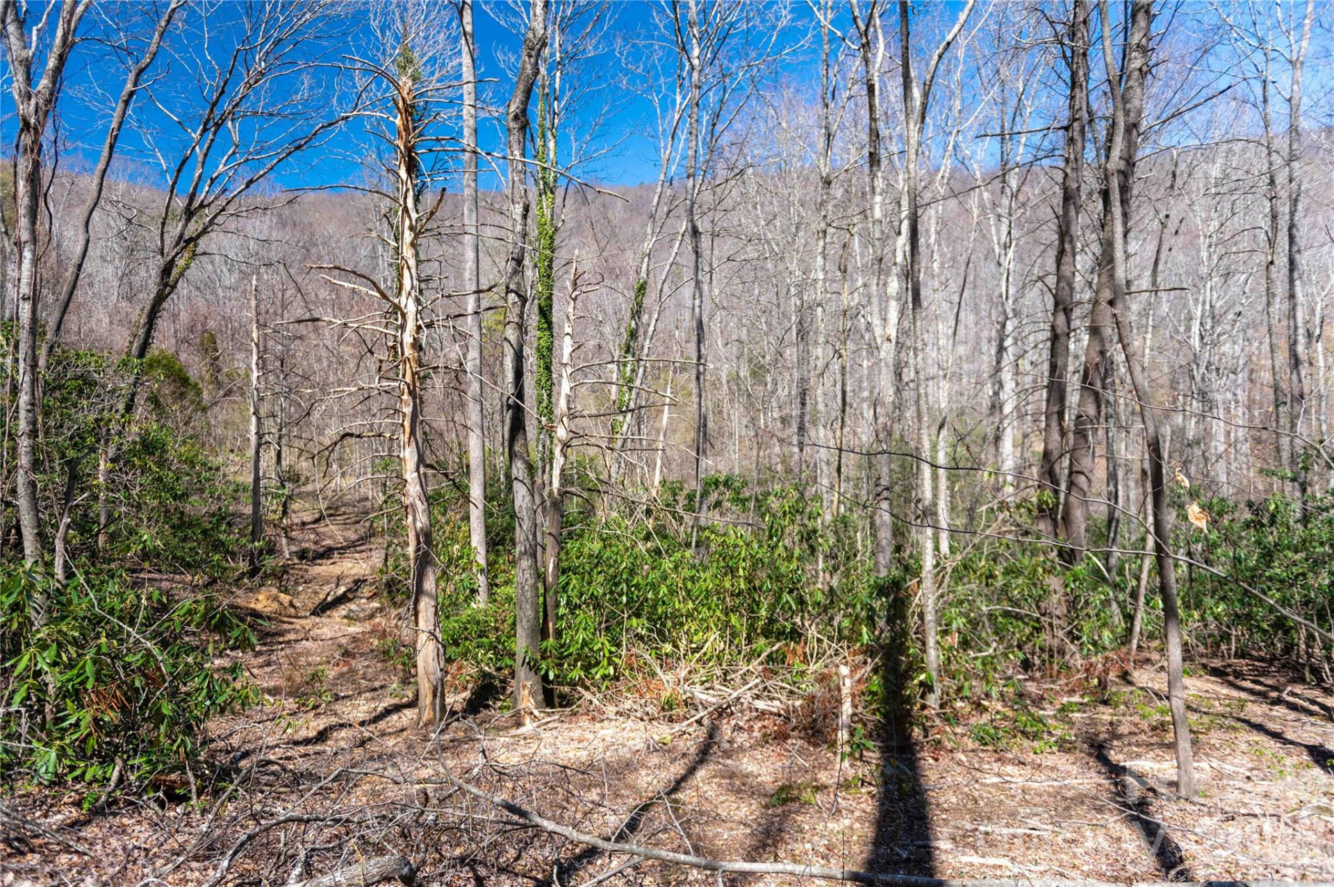 99 Banjo Branch Road - Photo 29