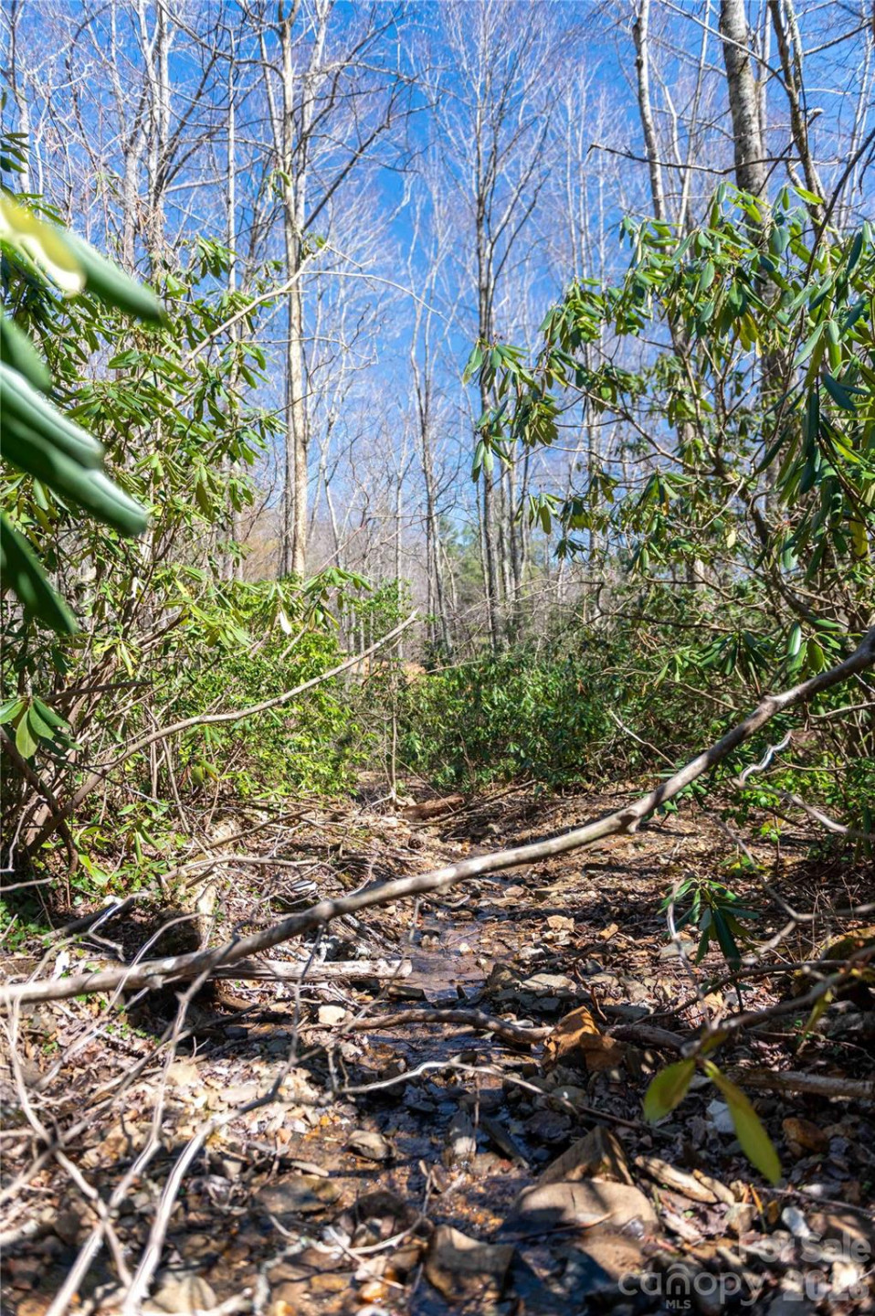 99 Banjo Branch Road - Photo 30