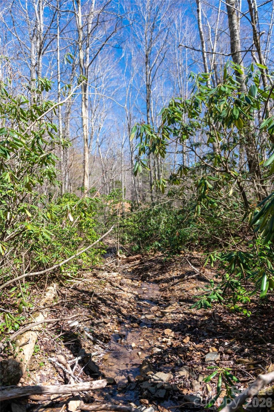 99 Banjo Branch Road - Photo 31