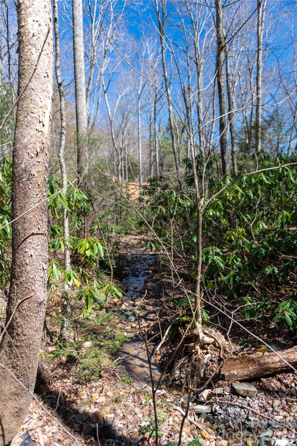 99 Banjo Branch Road - Photo 32