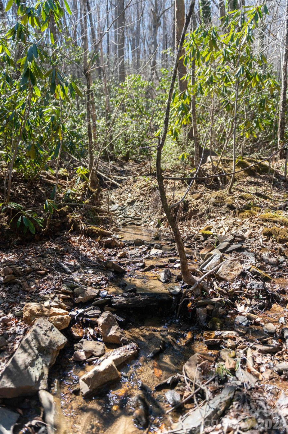 99 Banjo Branch Road - Photo 33