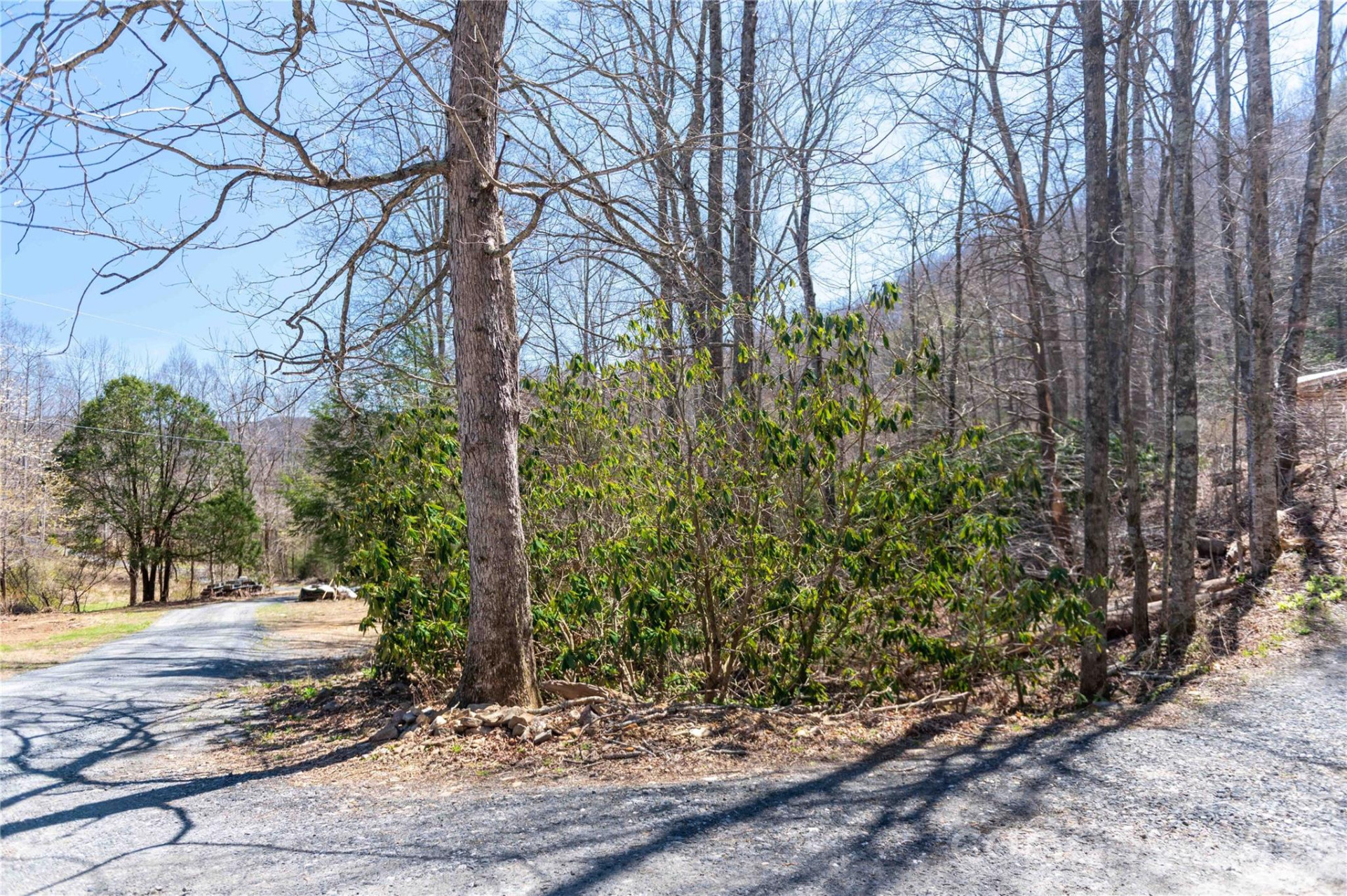 99 Banjo Branch Road - Photo 5