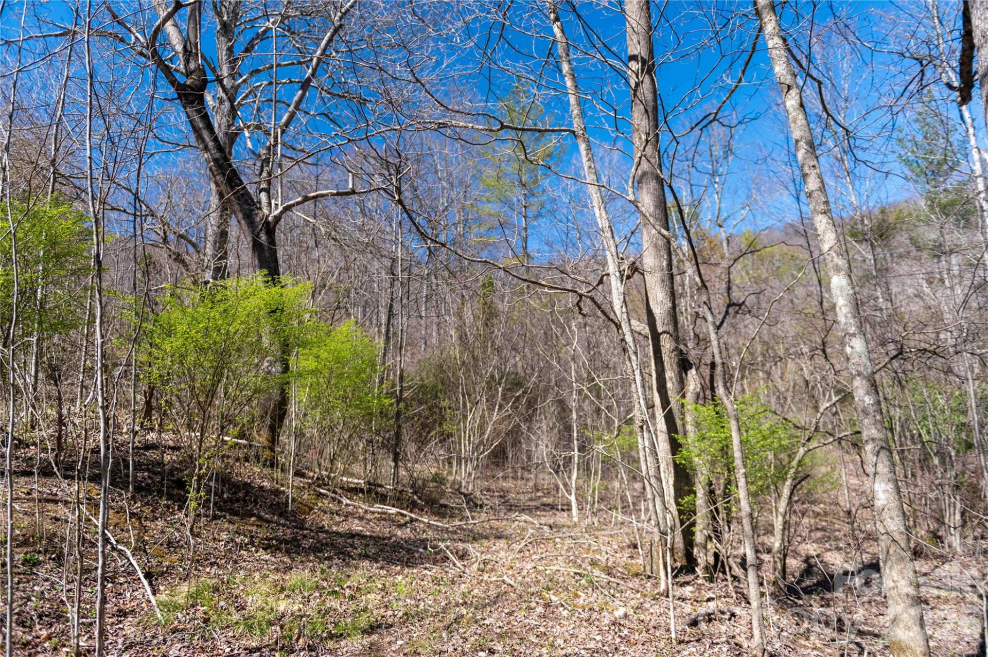 99 Banjo Branch Road - Photo 36