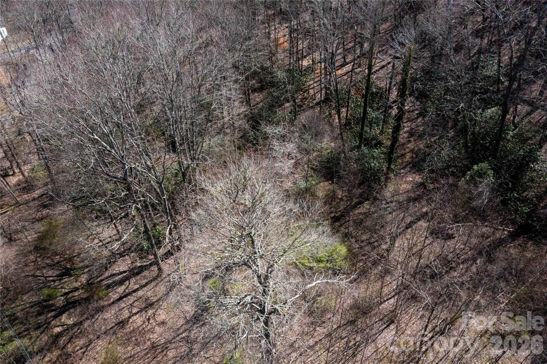 99 Banjo Branch Road - Photo 37