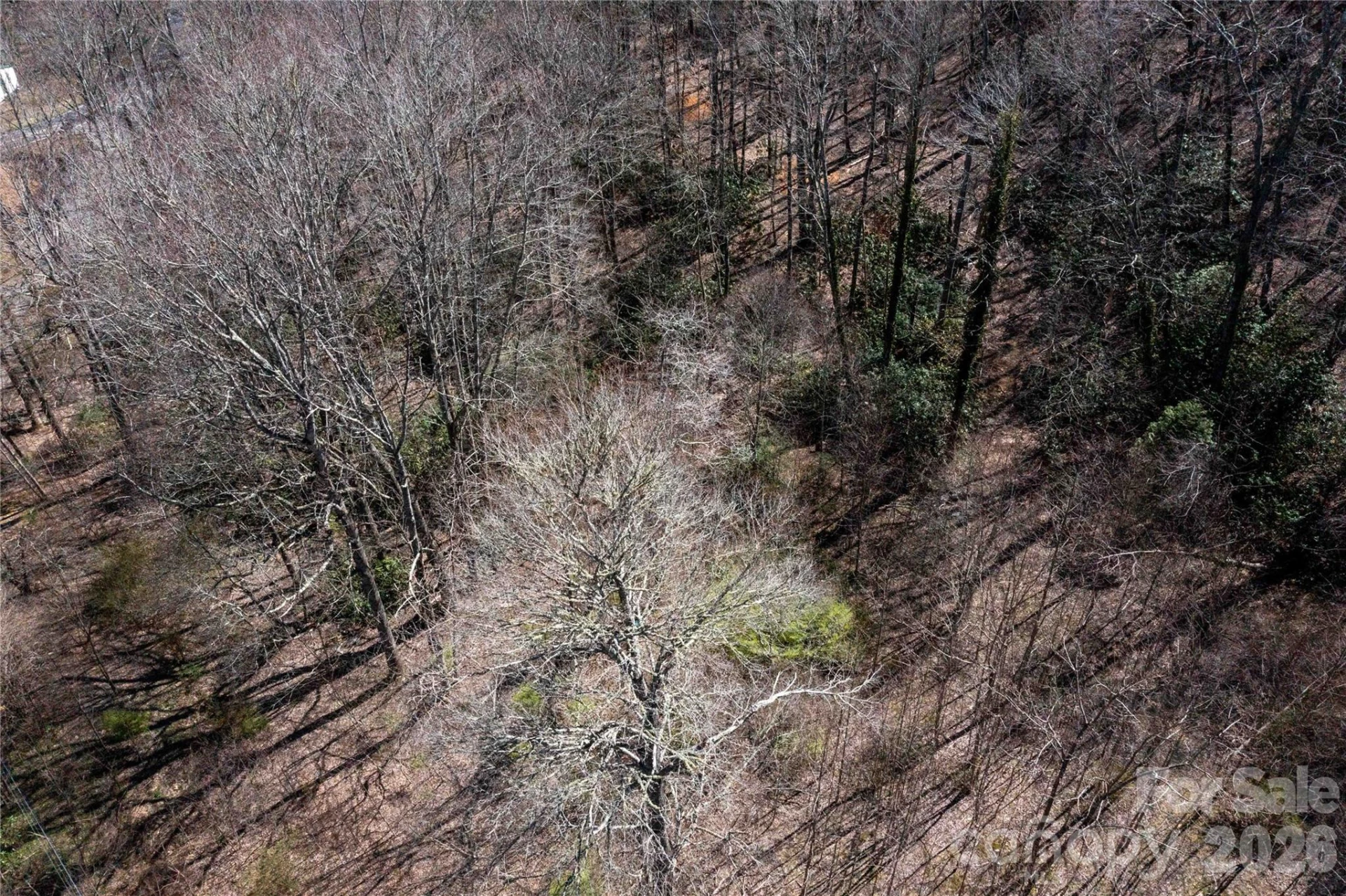 99 Banjo Branch Road - Photo 37