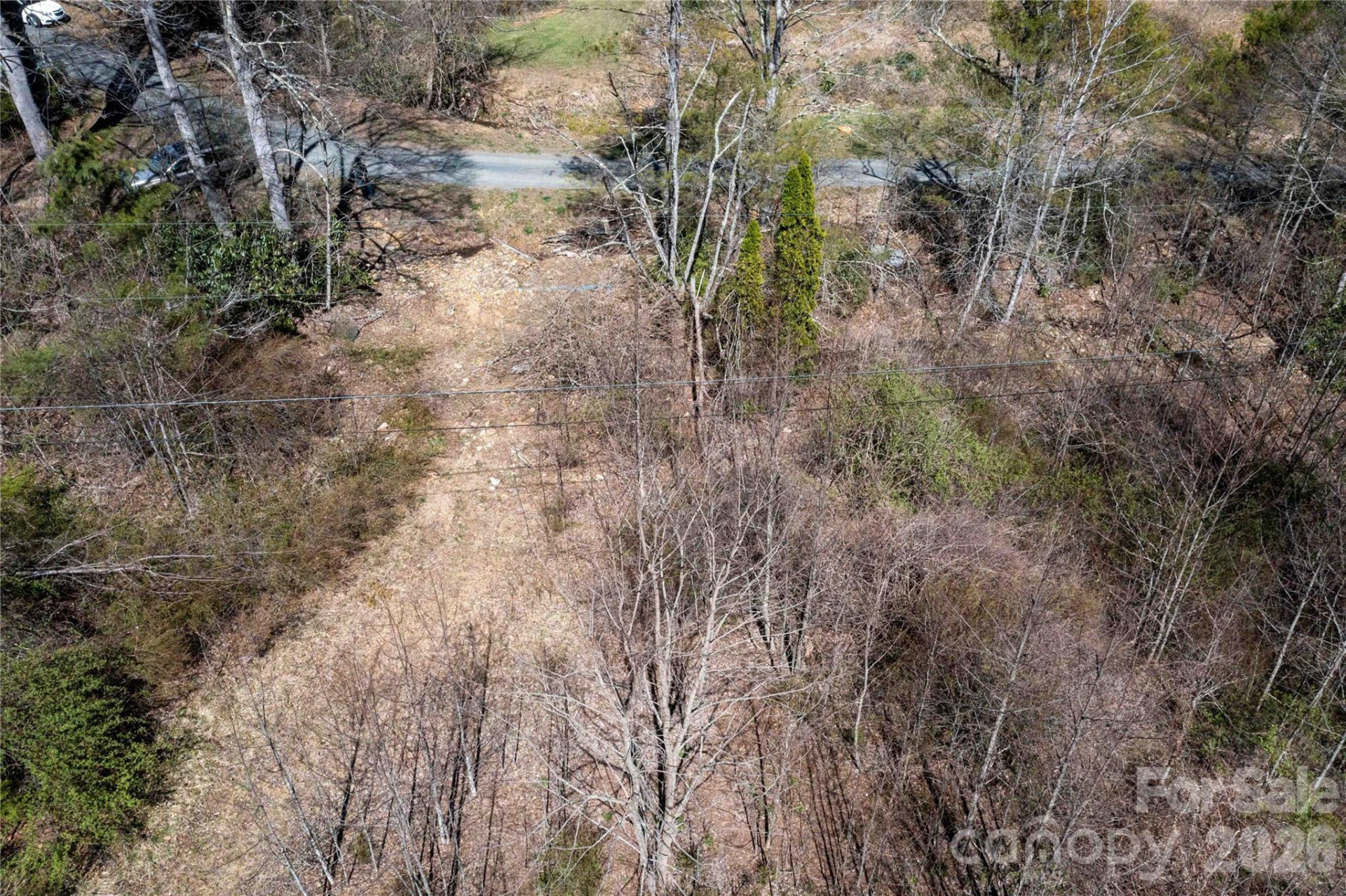 99 Banjo Branch Road - Photo 38