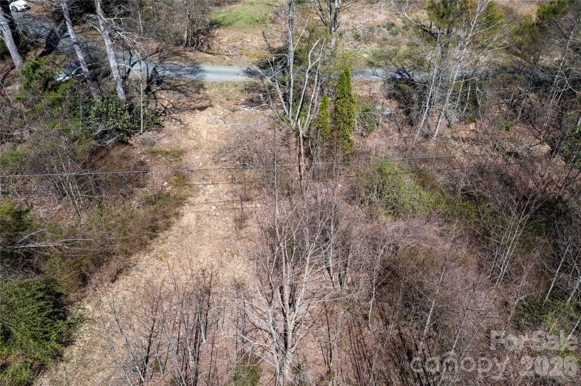 99 Banjo Branch Road - Photo 38