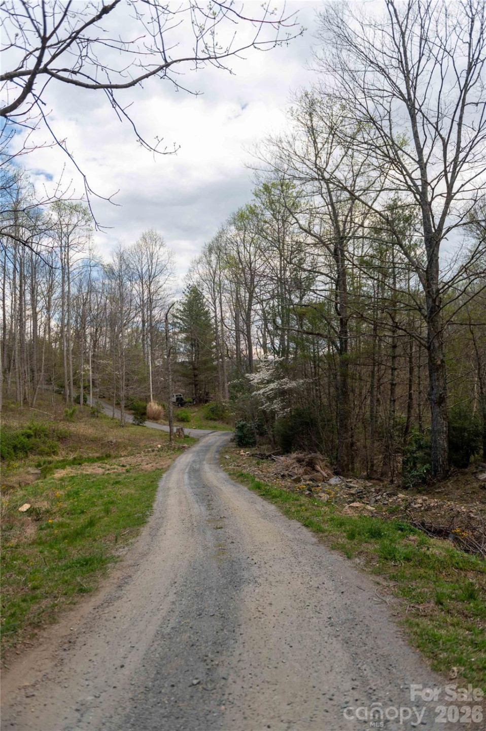 99 Banjo Branch Road - Photo 40