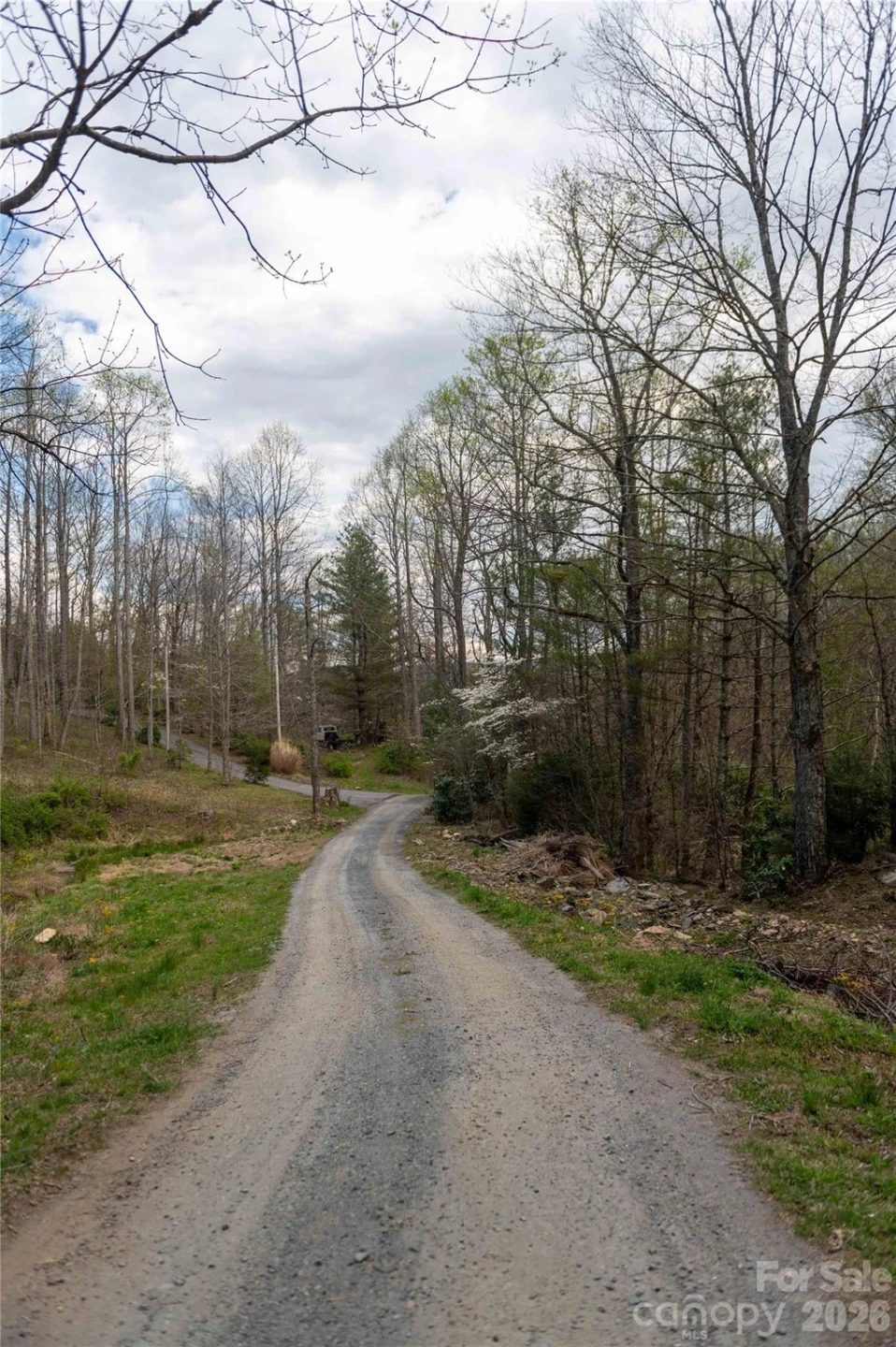99 Banjo Branch Road - Photo 40