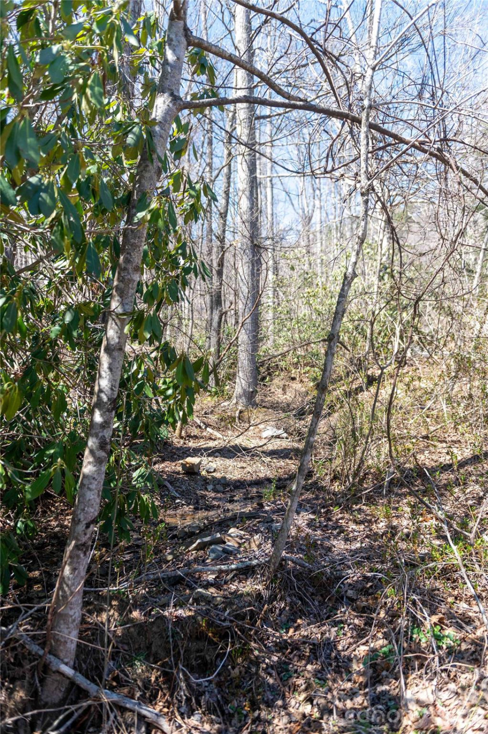 99 Banjo Branch Road - Photo 6