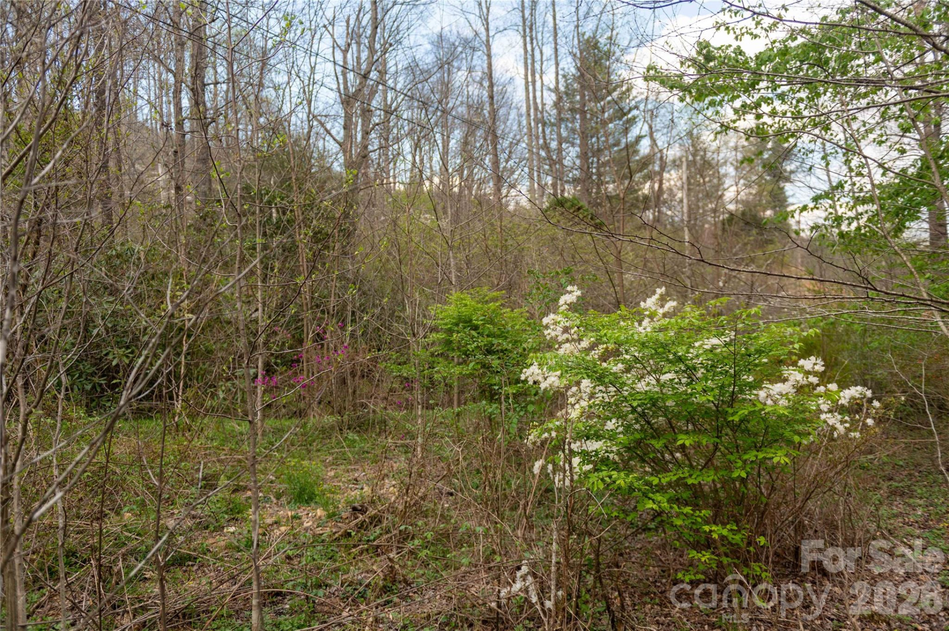 99 Banjo Branch Road - Photo 41