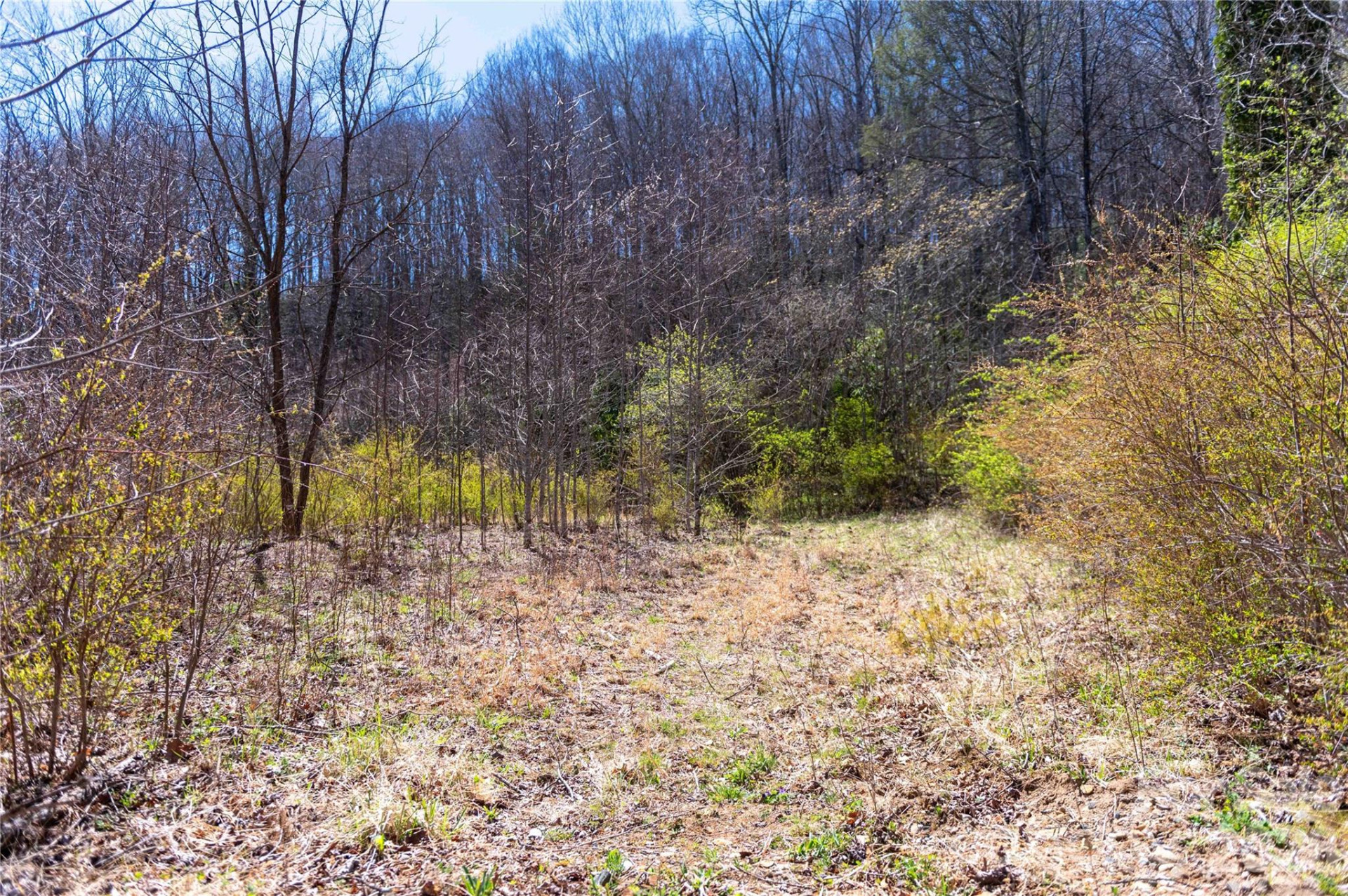 99 Banjo Branch Road - Photo 7