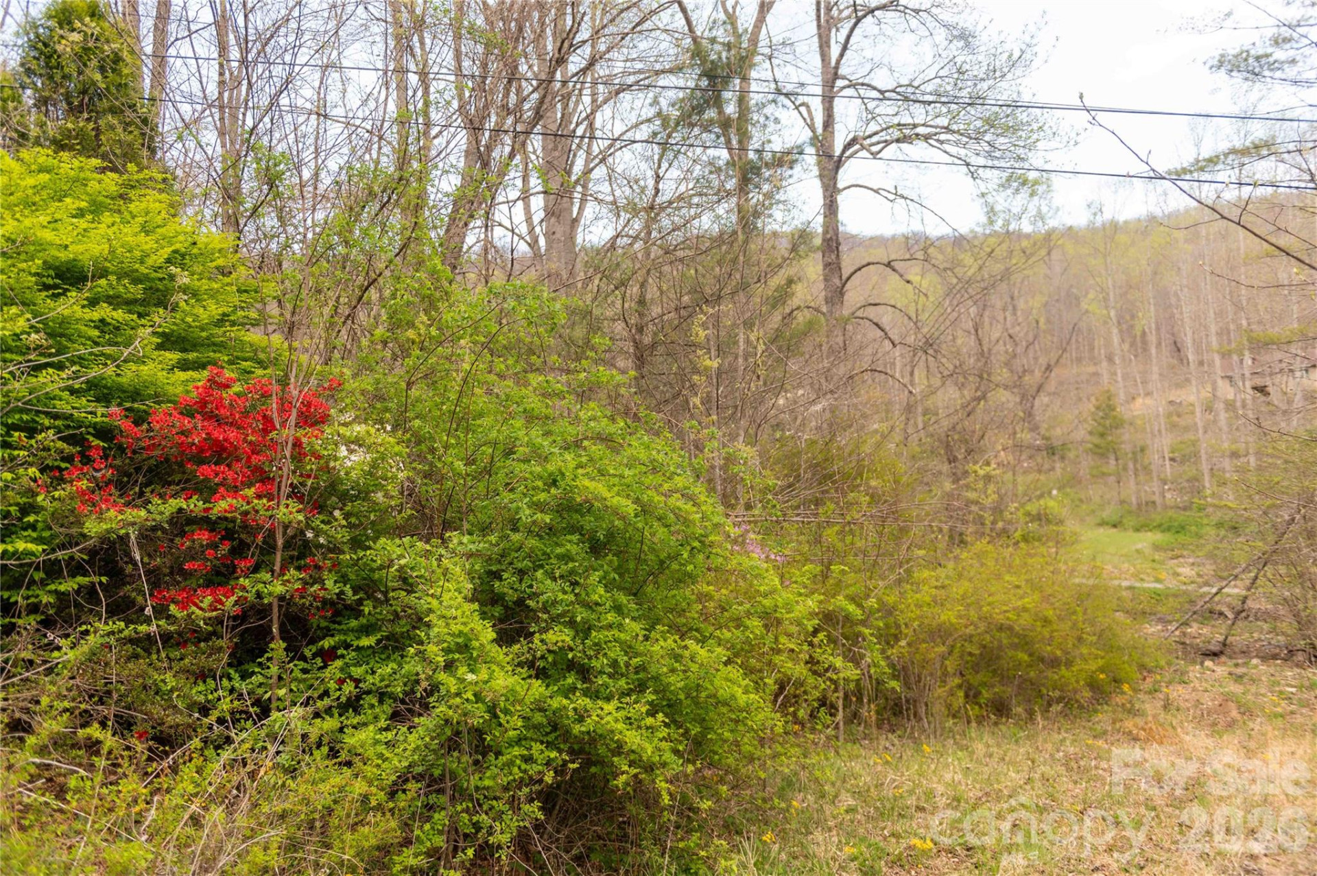 99 Banjo Branch Road - Photo 9