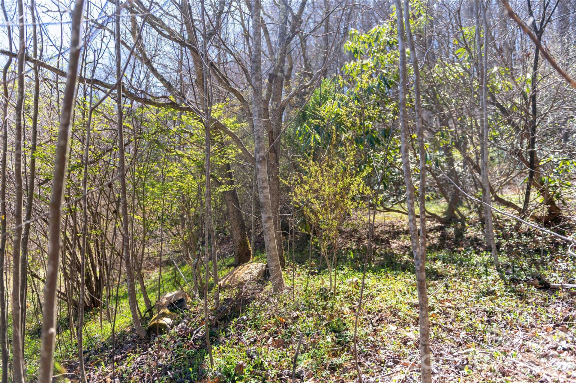 99 Banjo Branch Road - Photo 11