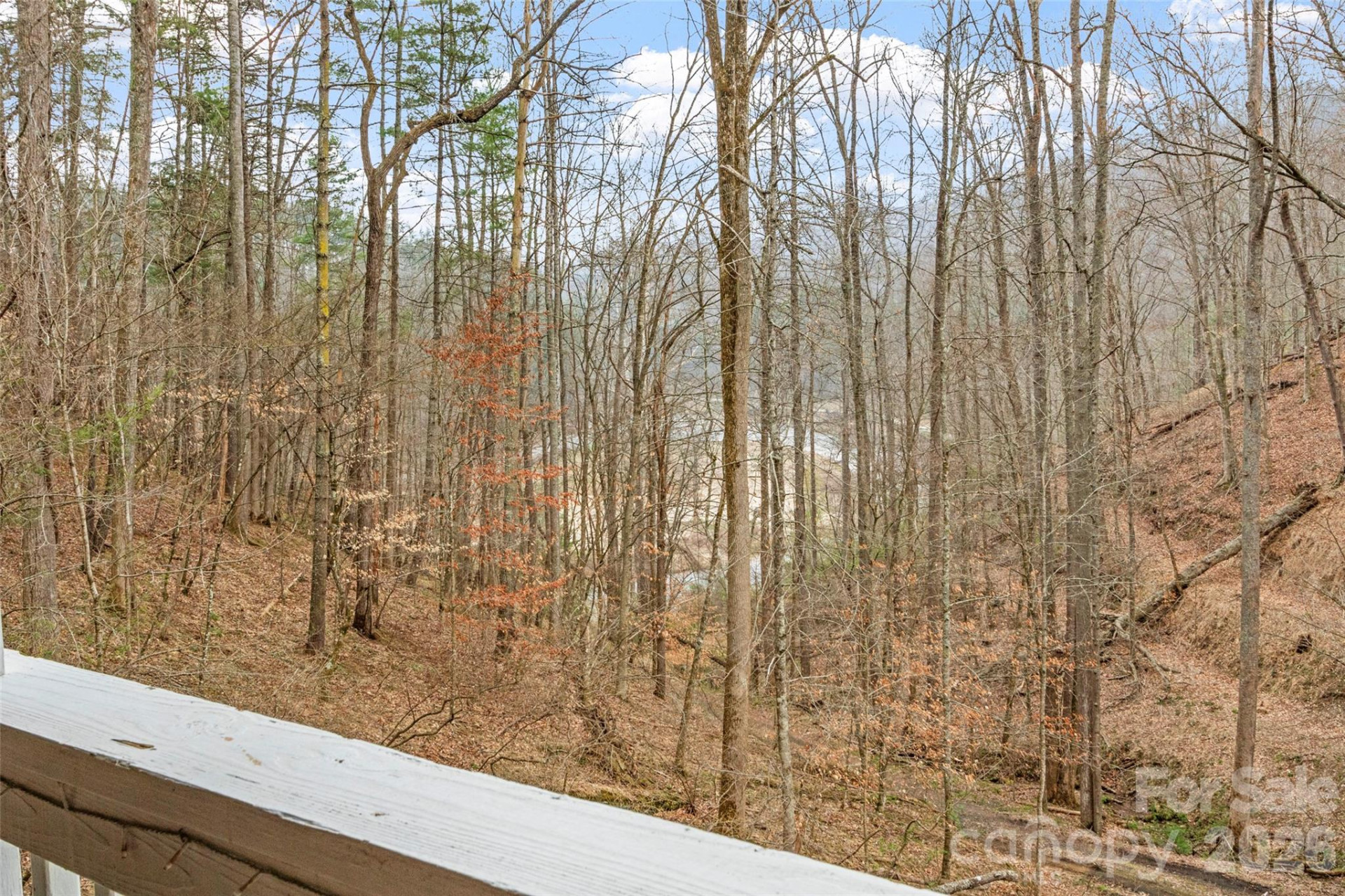 2701 Roses Branch Road - Photo 29