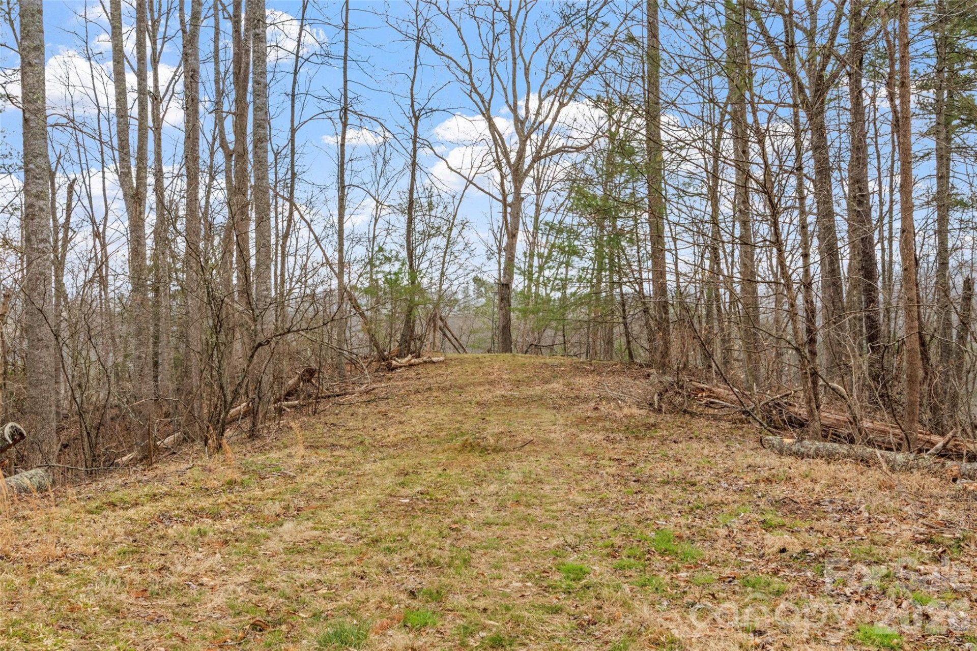 2701 Roses Branch Road - Photo 33