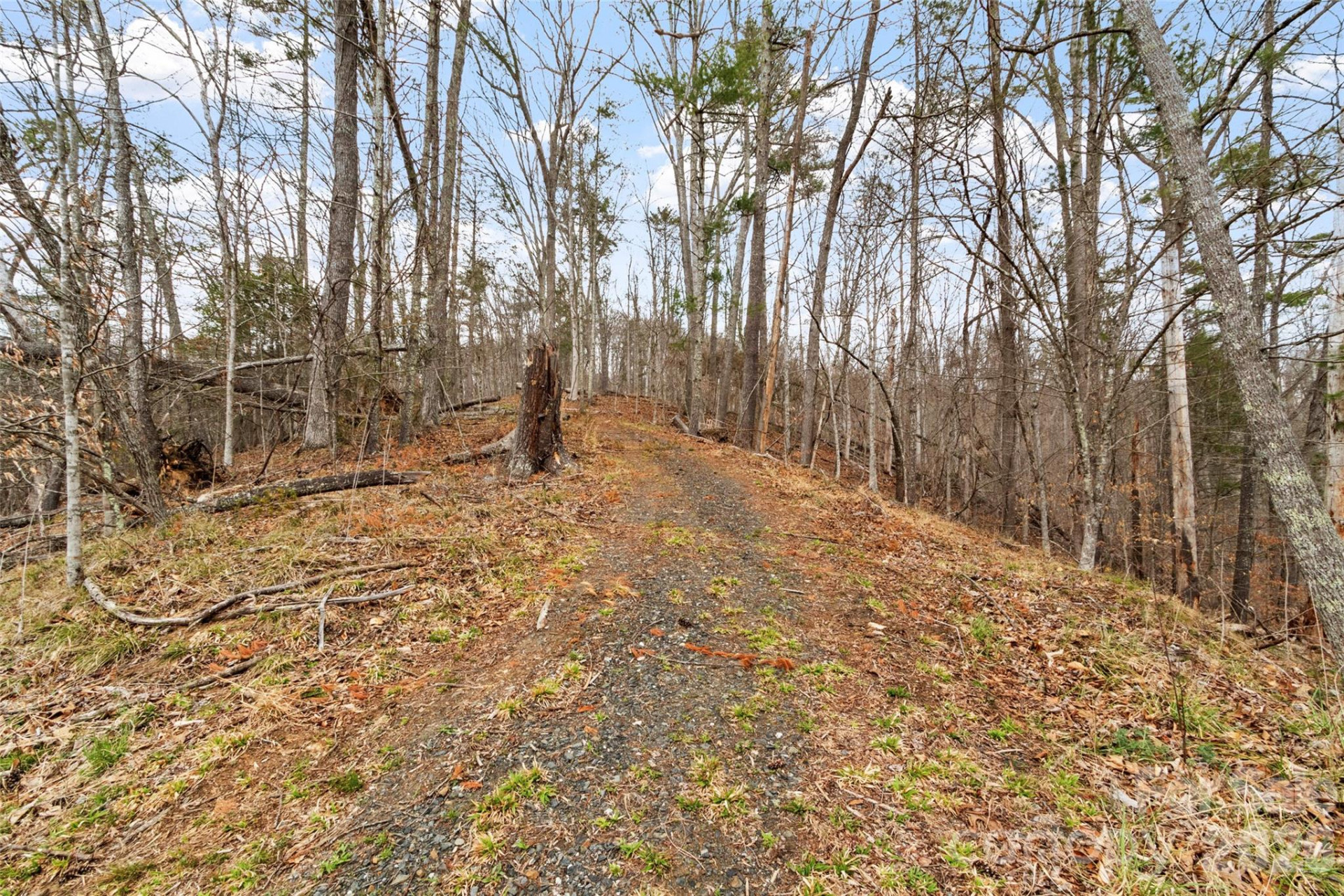 2701 Roses Branch Road - Photo 34