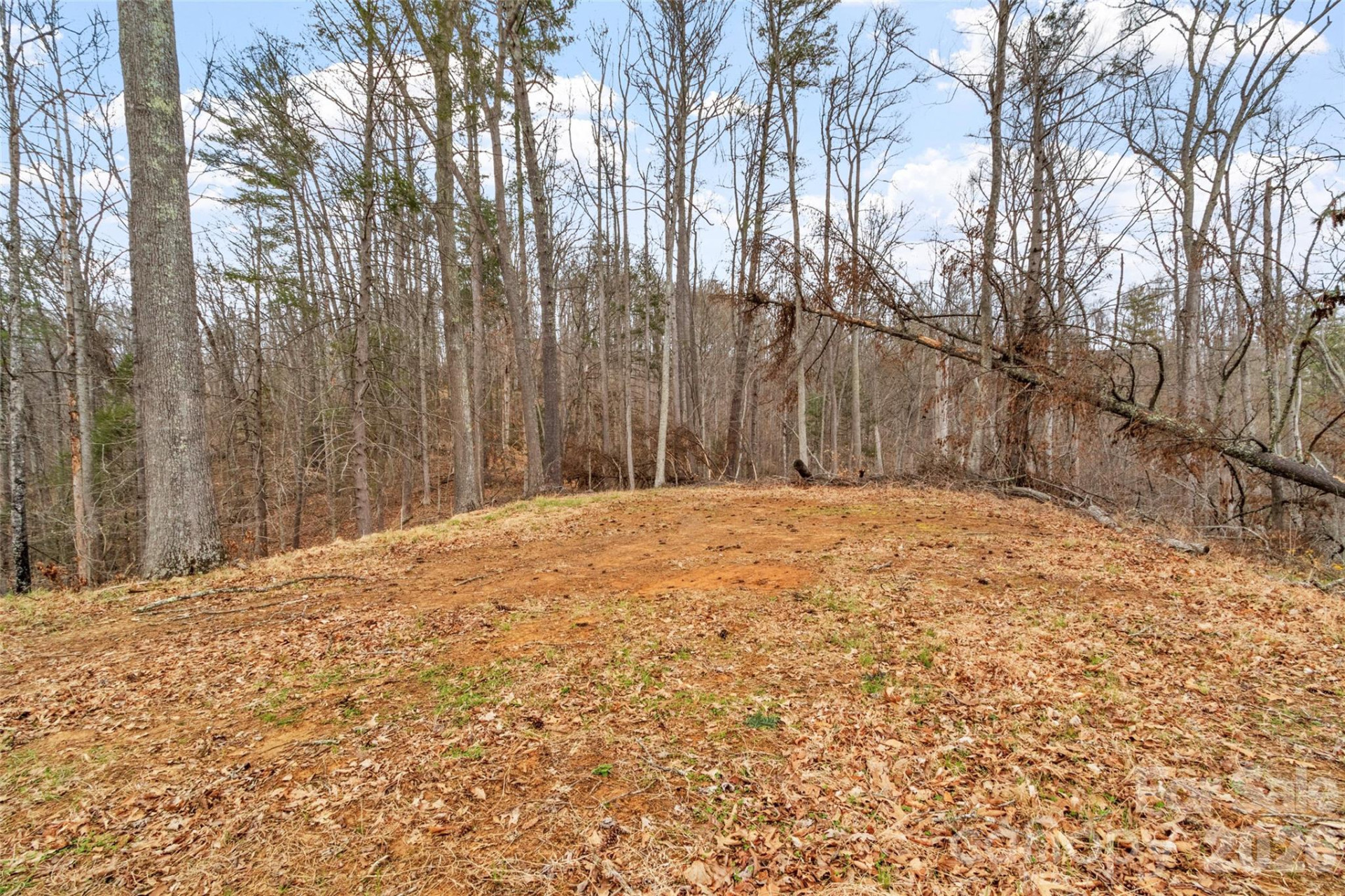 2701 Roses Branch Road - Photo 35