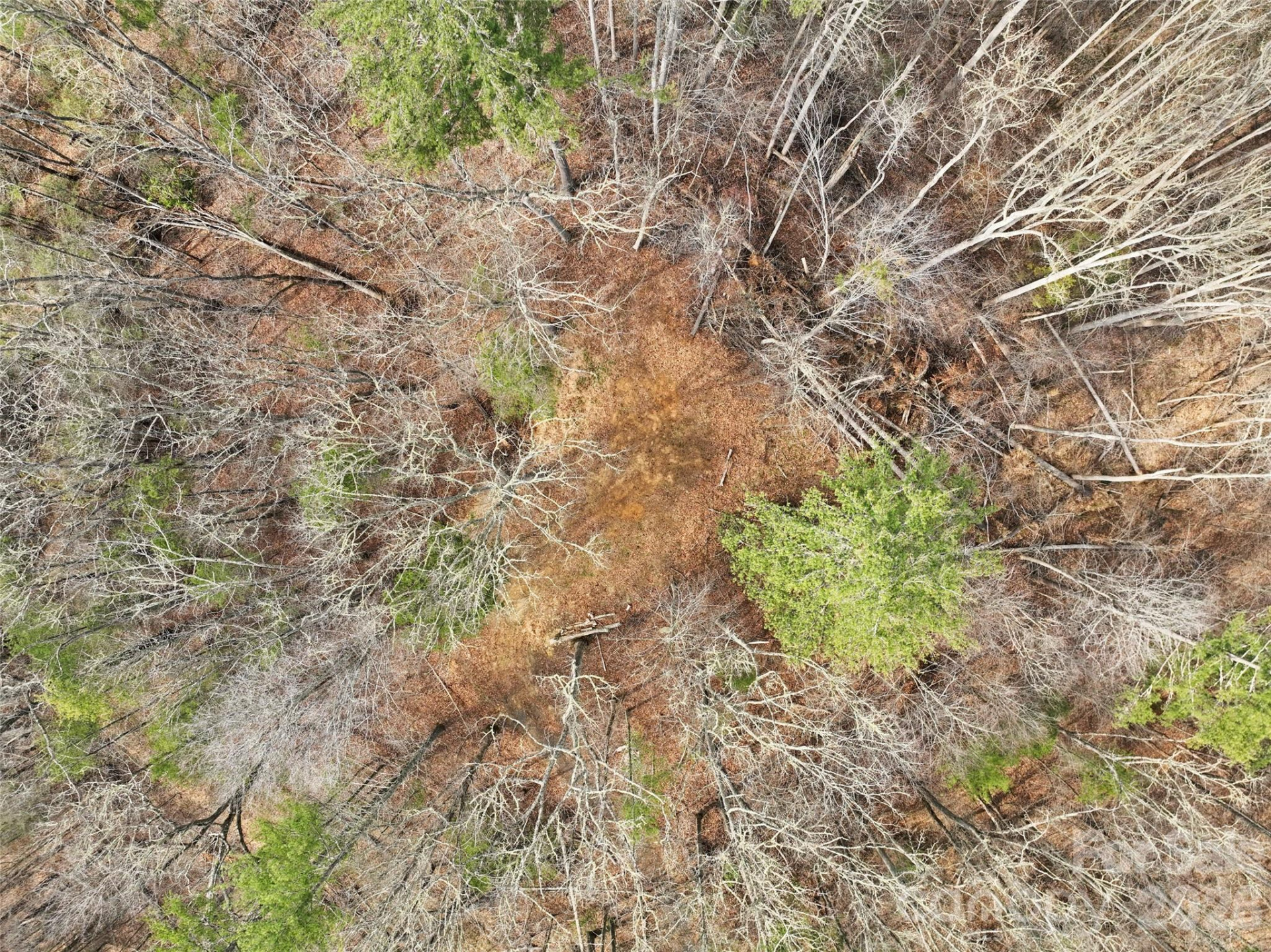 2701 Roses Branch Road - Photo 36