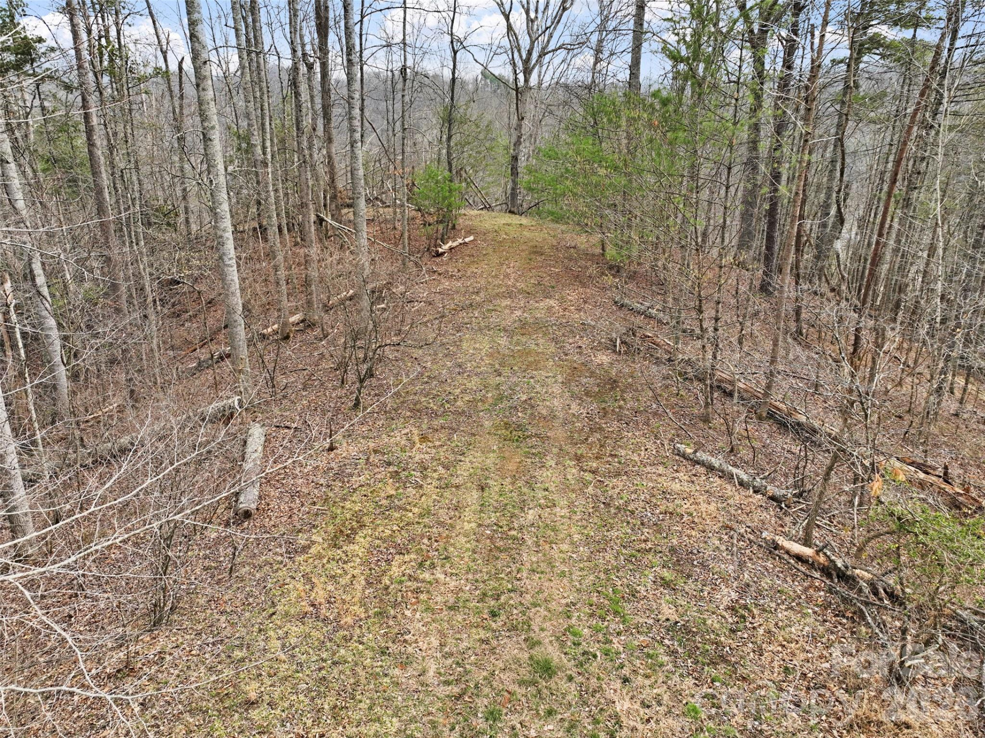 2701 Roses Branch Road - Photo 37