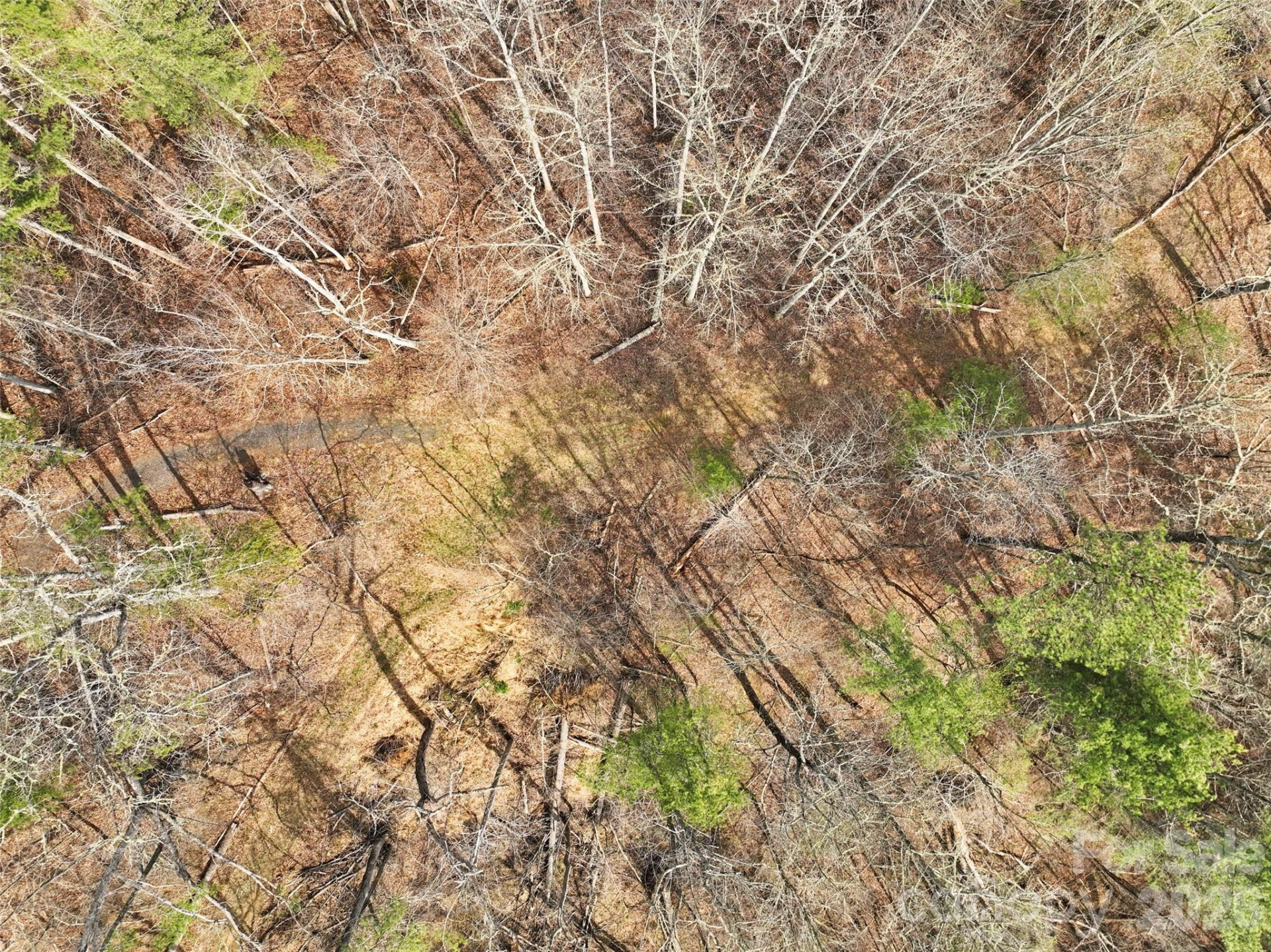 2701 Roses Branch Road - Photo 38