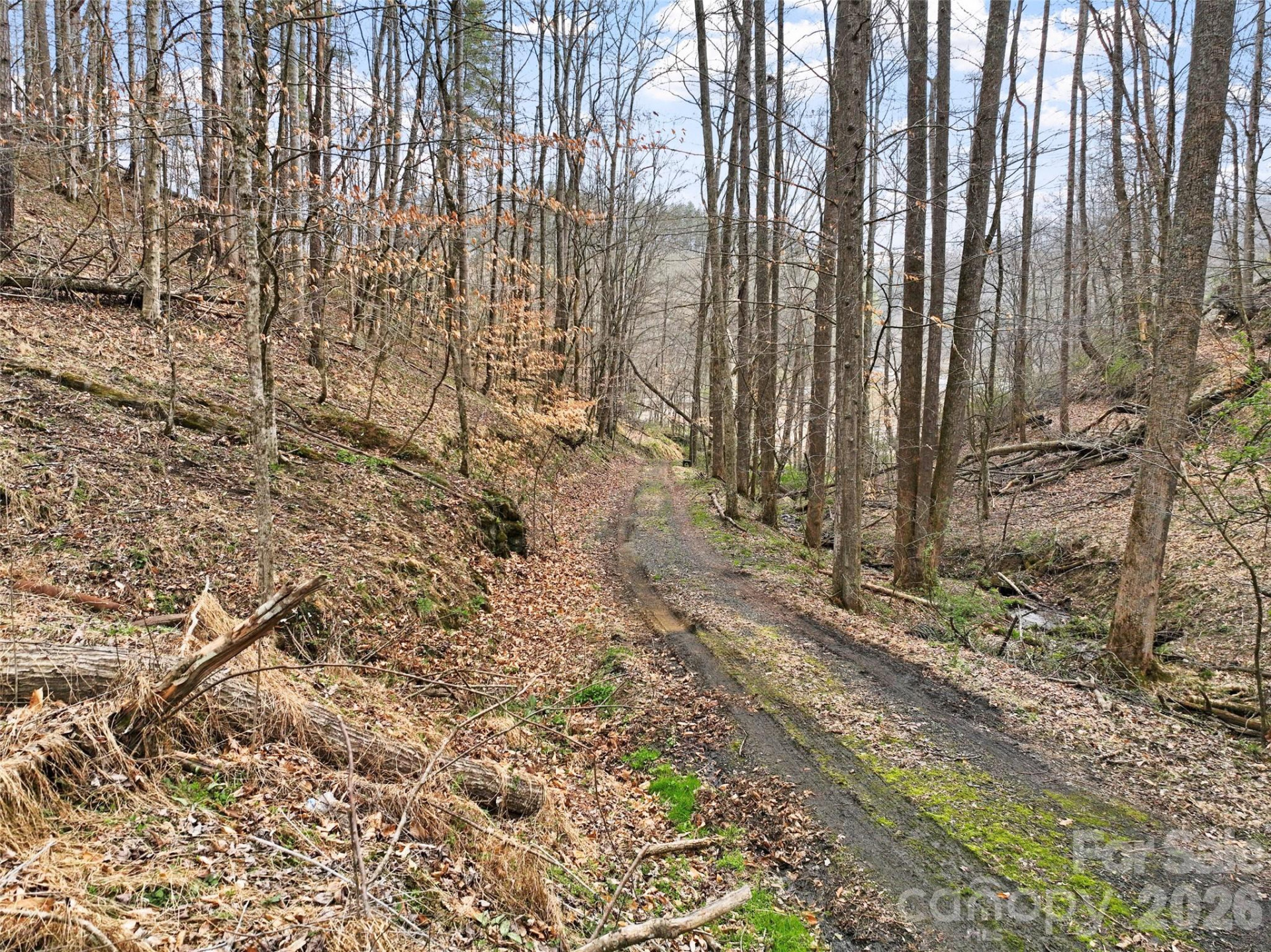 2701 Roses Branch Road - Photo 39