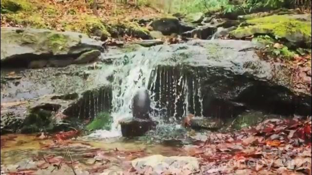 11 Chandra Lane - Photo 13