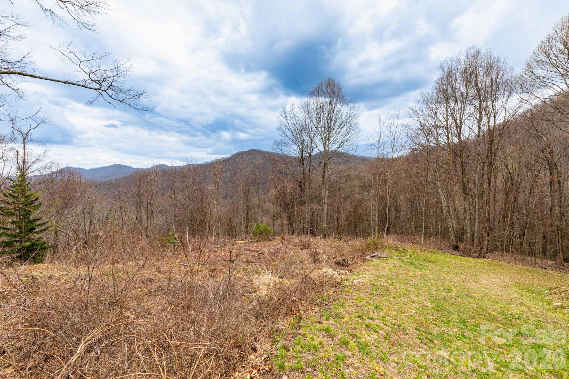 11 Chandra Lane - Photo 3