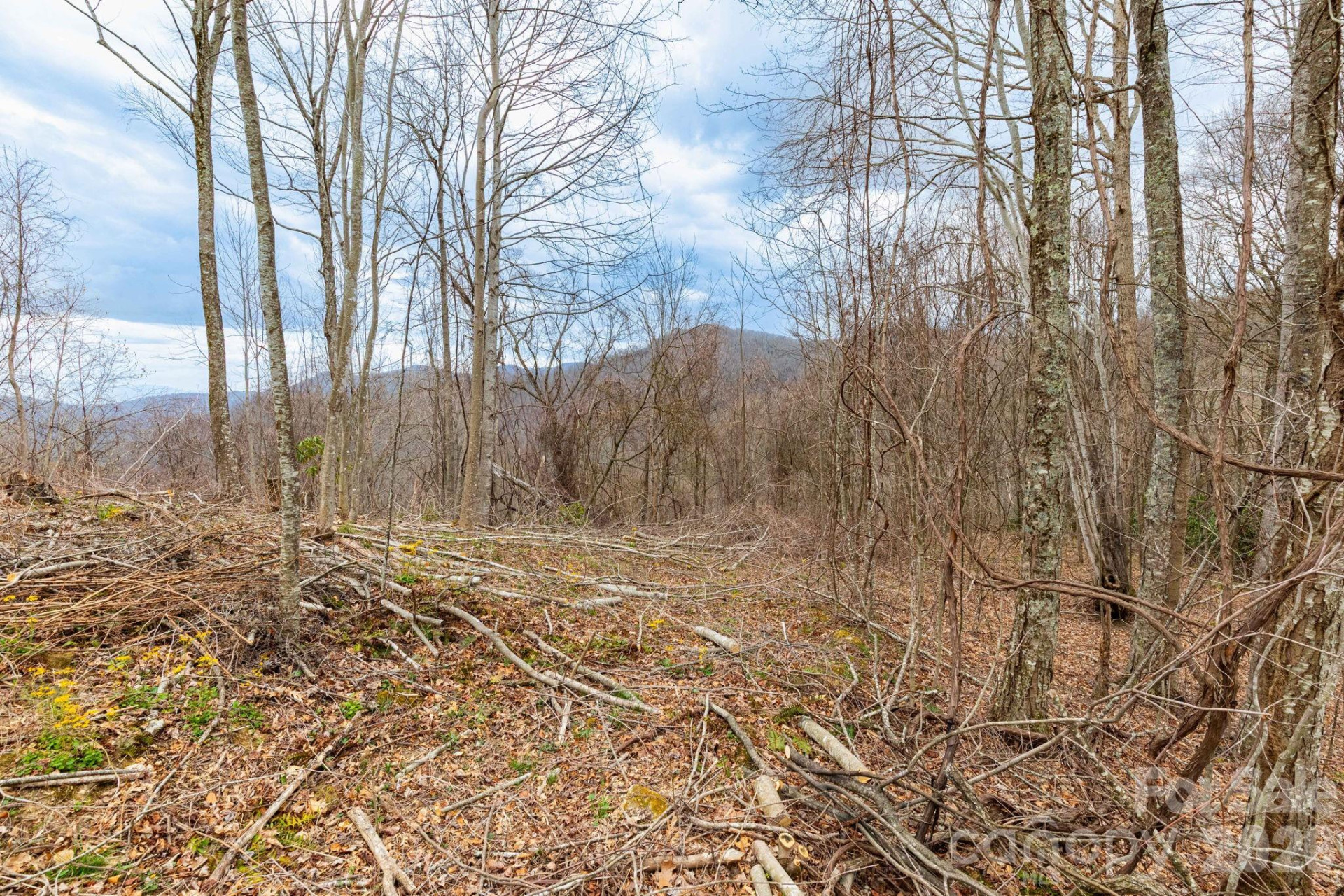 11 Chandra Lane - Photo 4