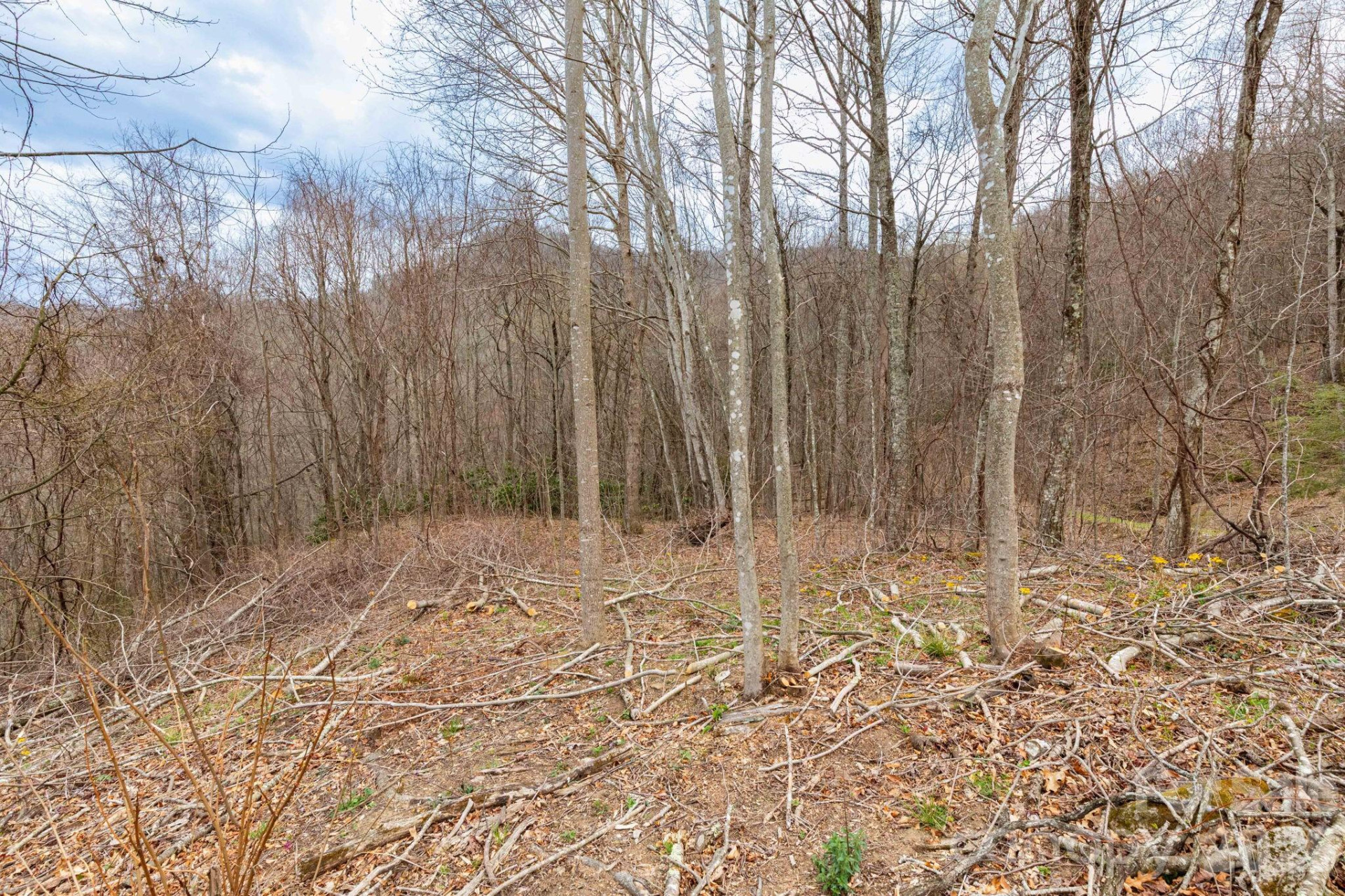 11 Chandra Lane - Photo 5