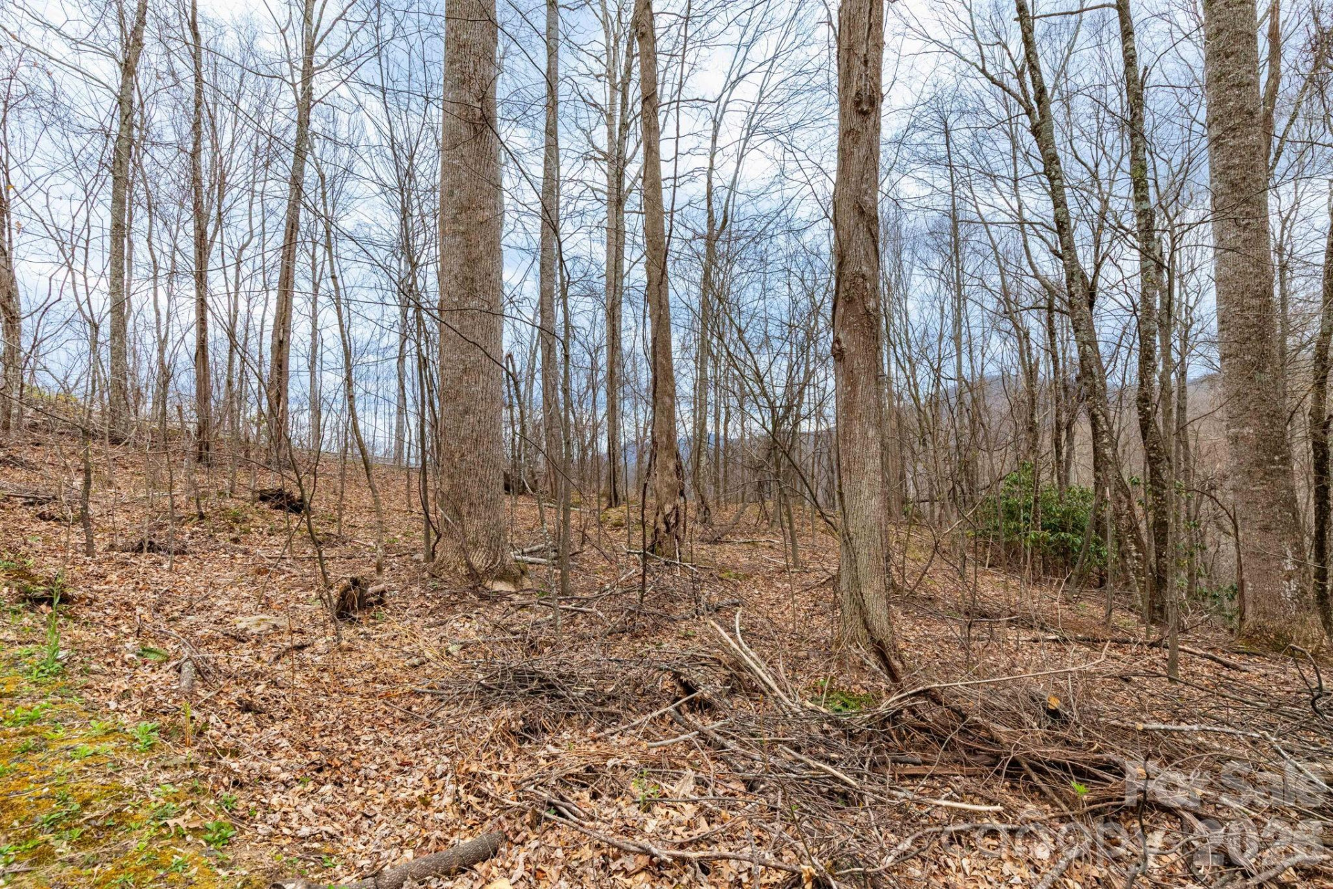 11 Chandra Lane - Photo 6