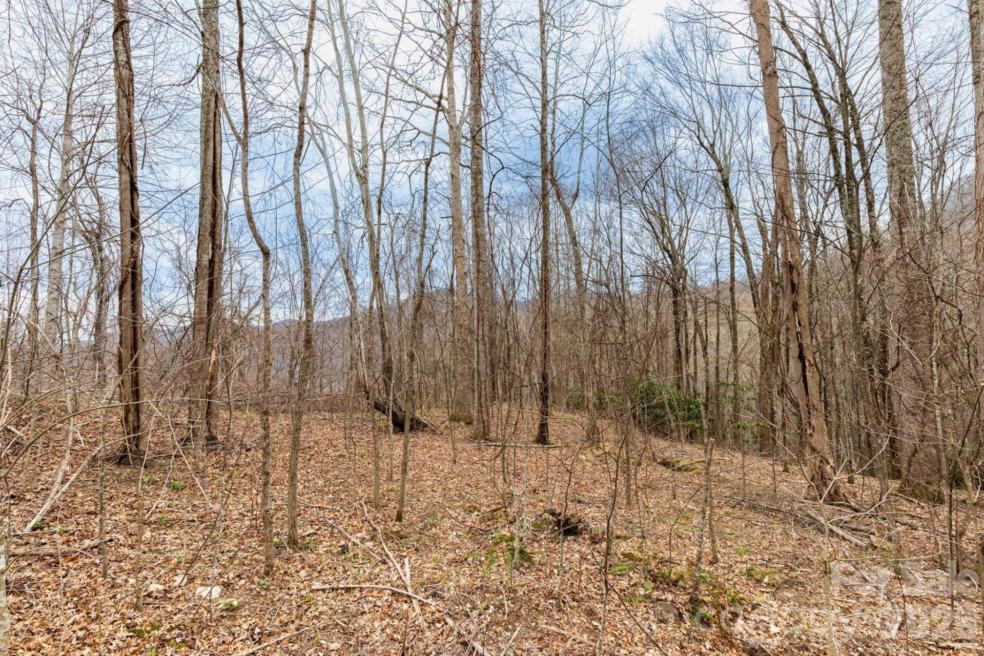 11 Chandra Lane - Photo 7