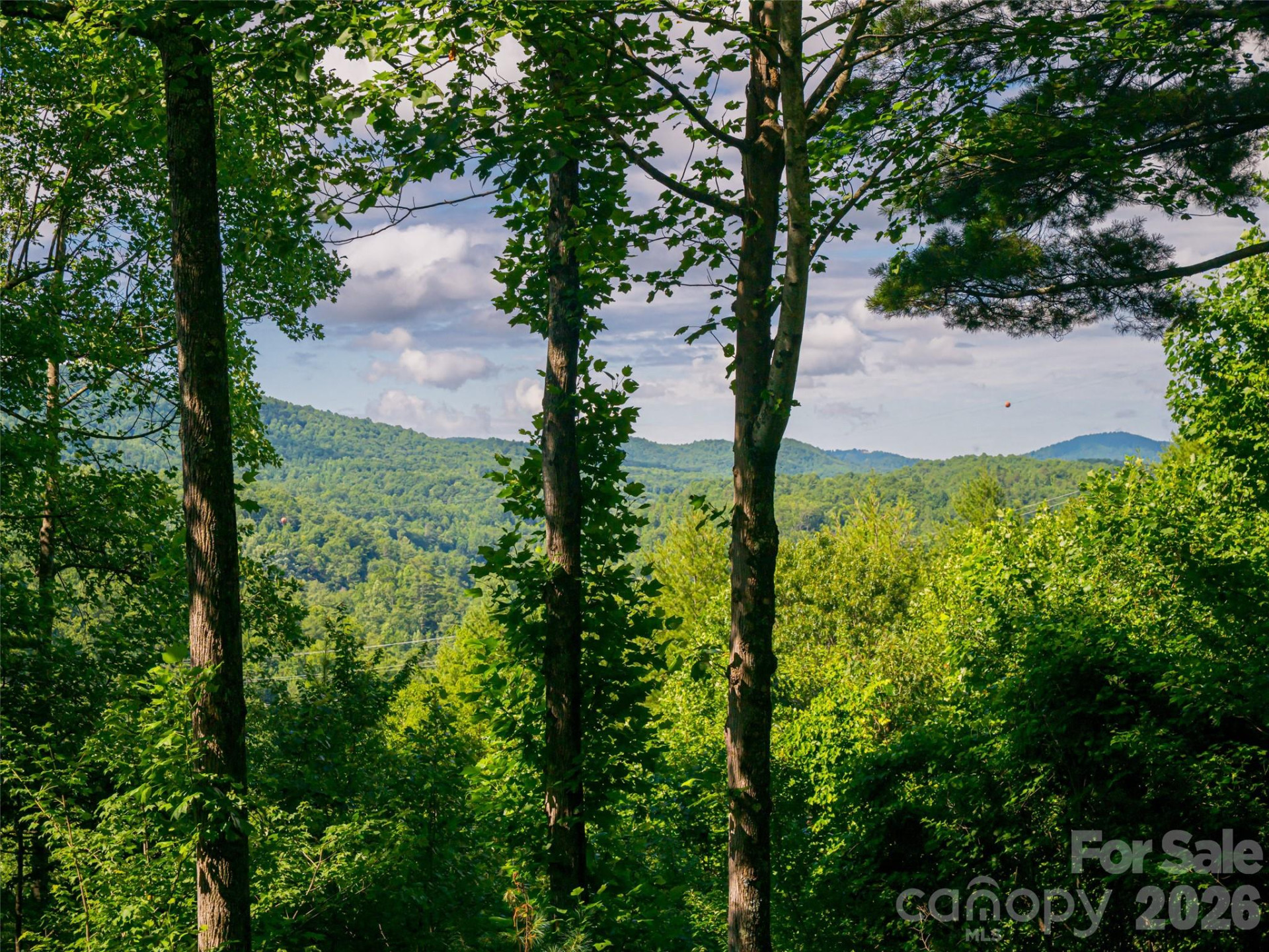 935 Whites Lake Boulevard - Photo 37