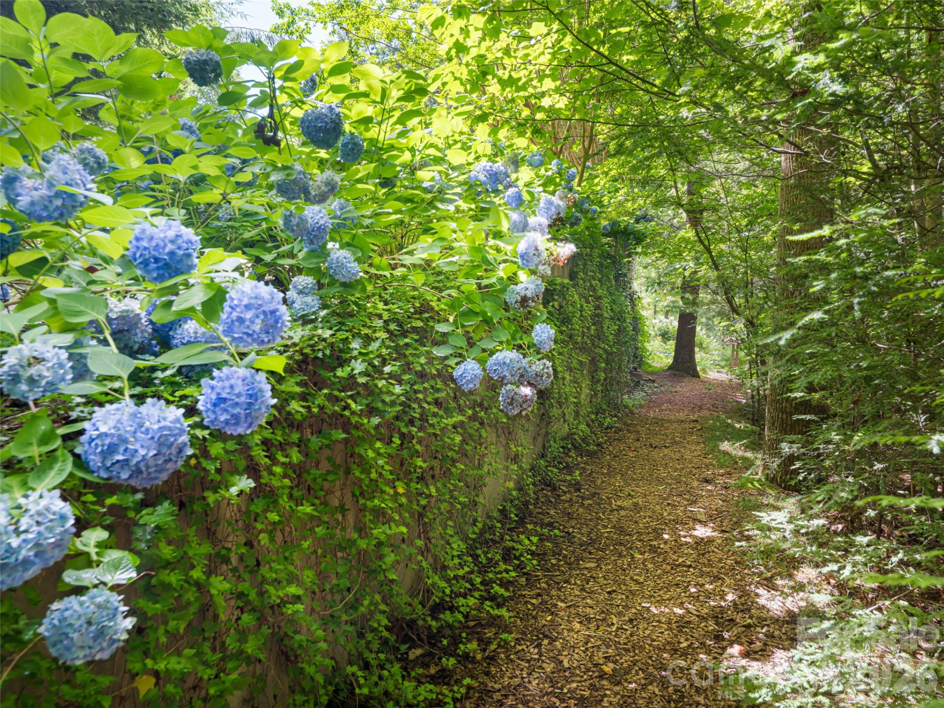 935 Whites Lake Boulevard - Photo 44