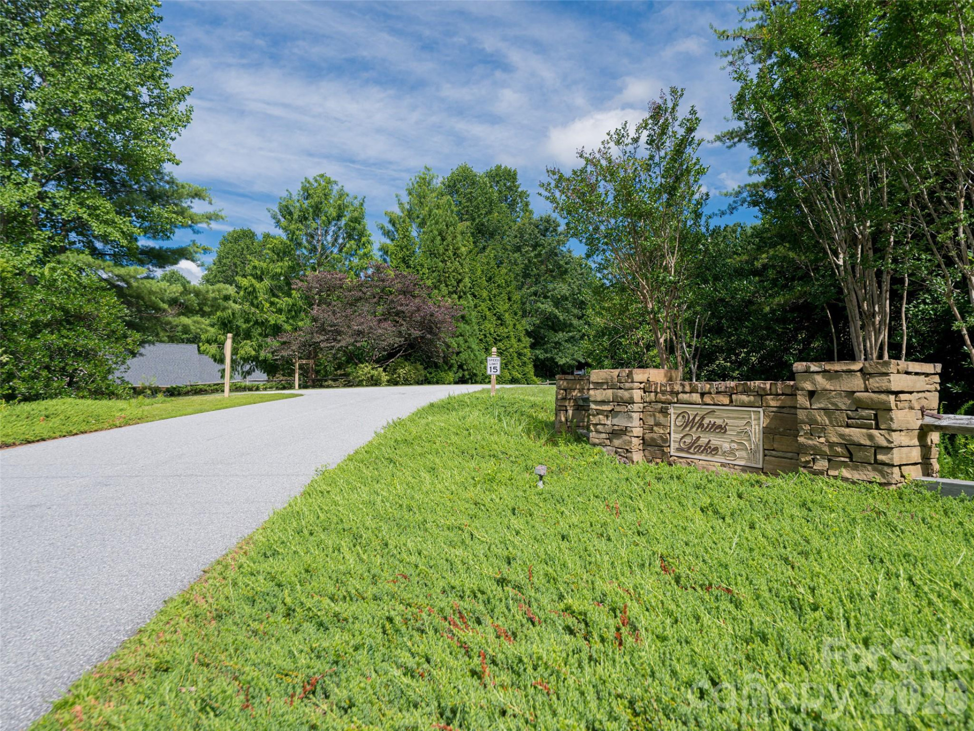 935 Whites Lake Boulevard - Photo 45