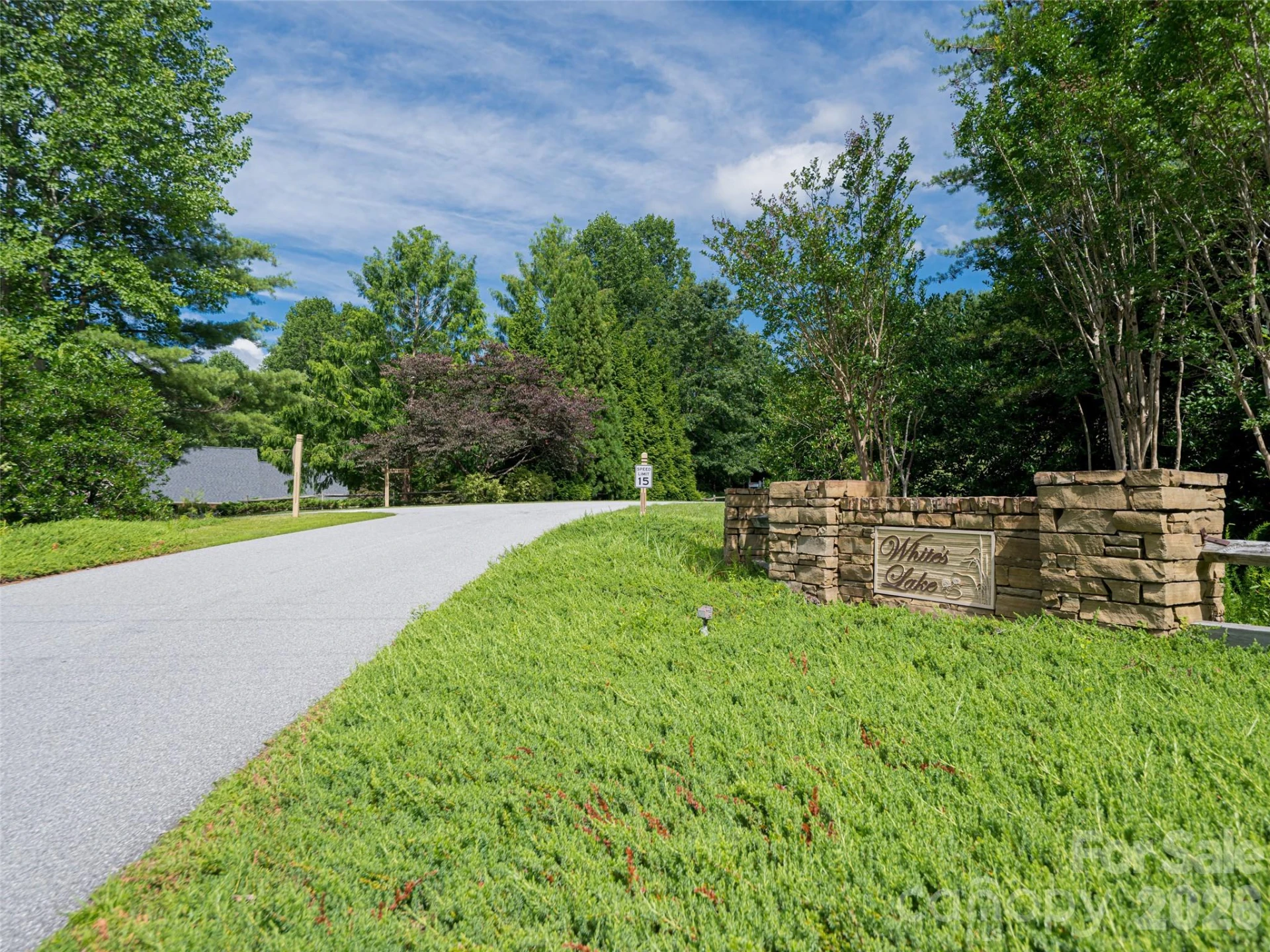 935 Whites Lake Boulevard - Photo 45