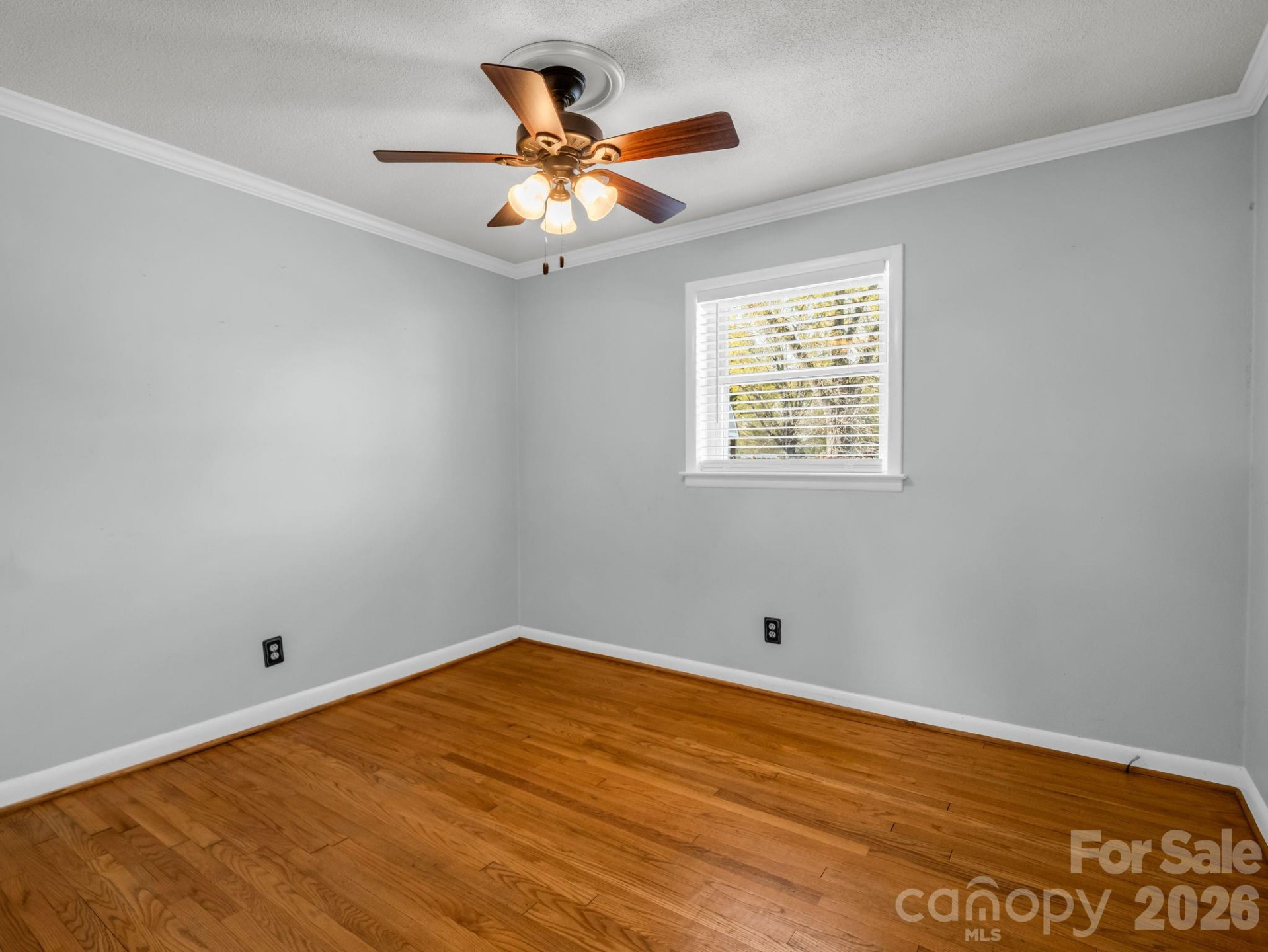 913 Webb Road - Photo 15