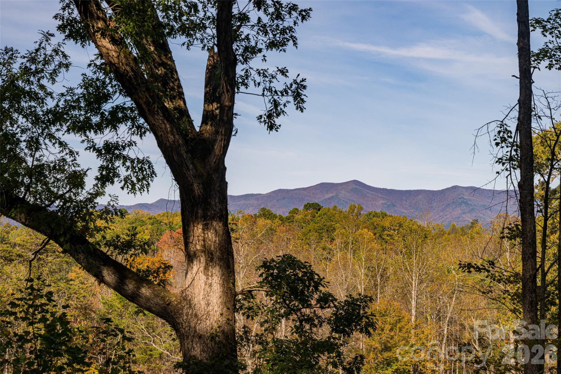 1487 Golf Course Road - Photo 28