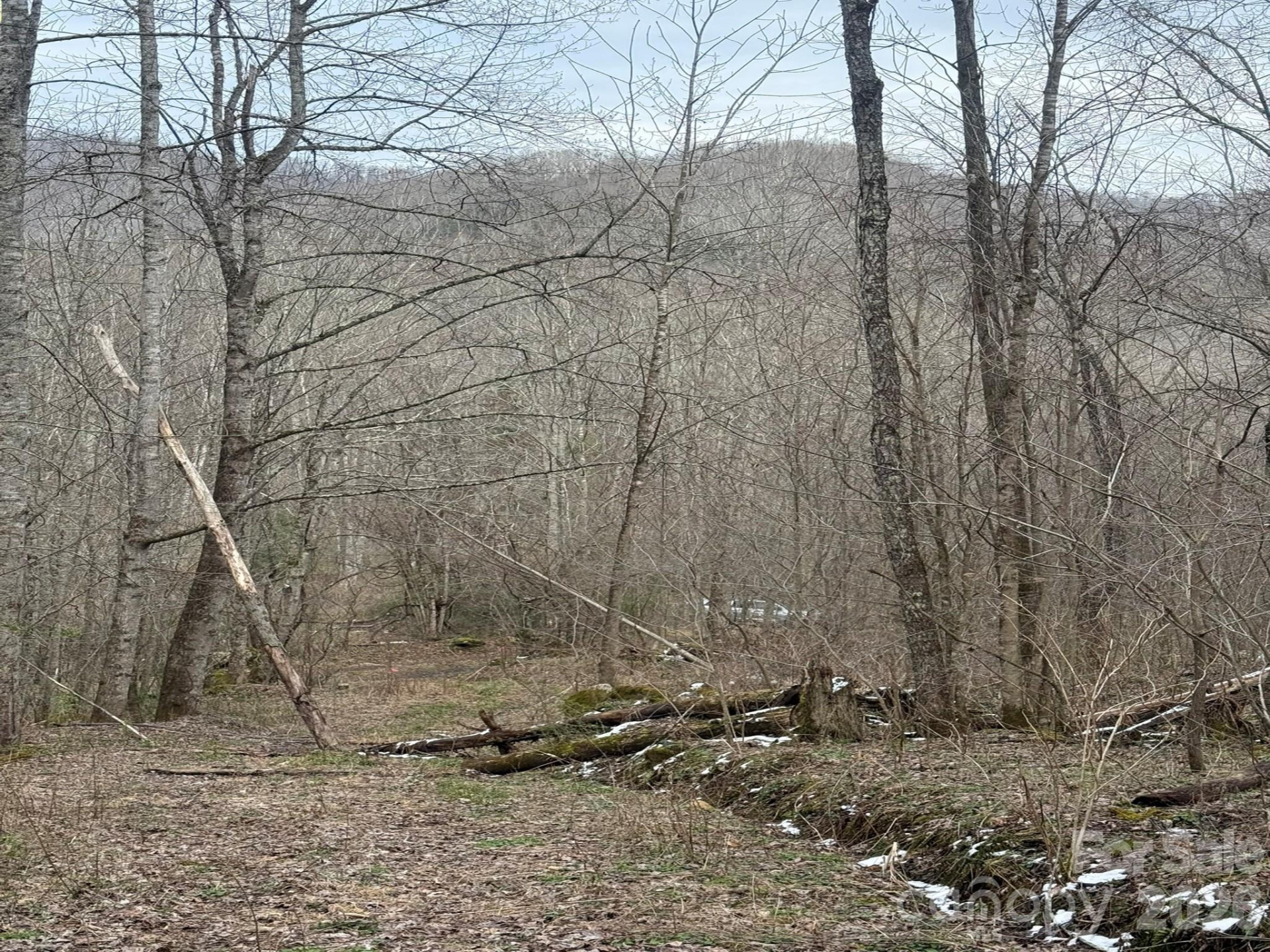 TBD 1.21 Acres Jass Cove Road - Photo 2