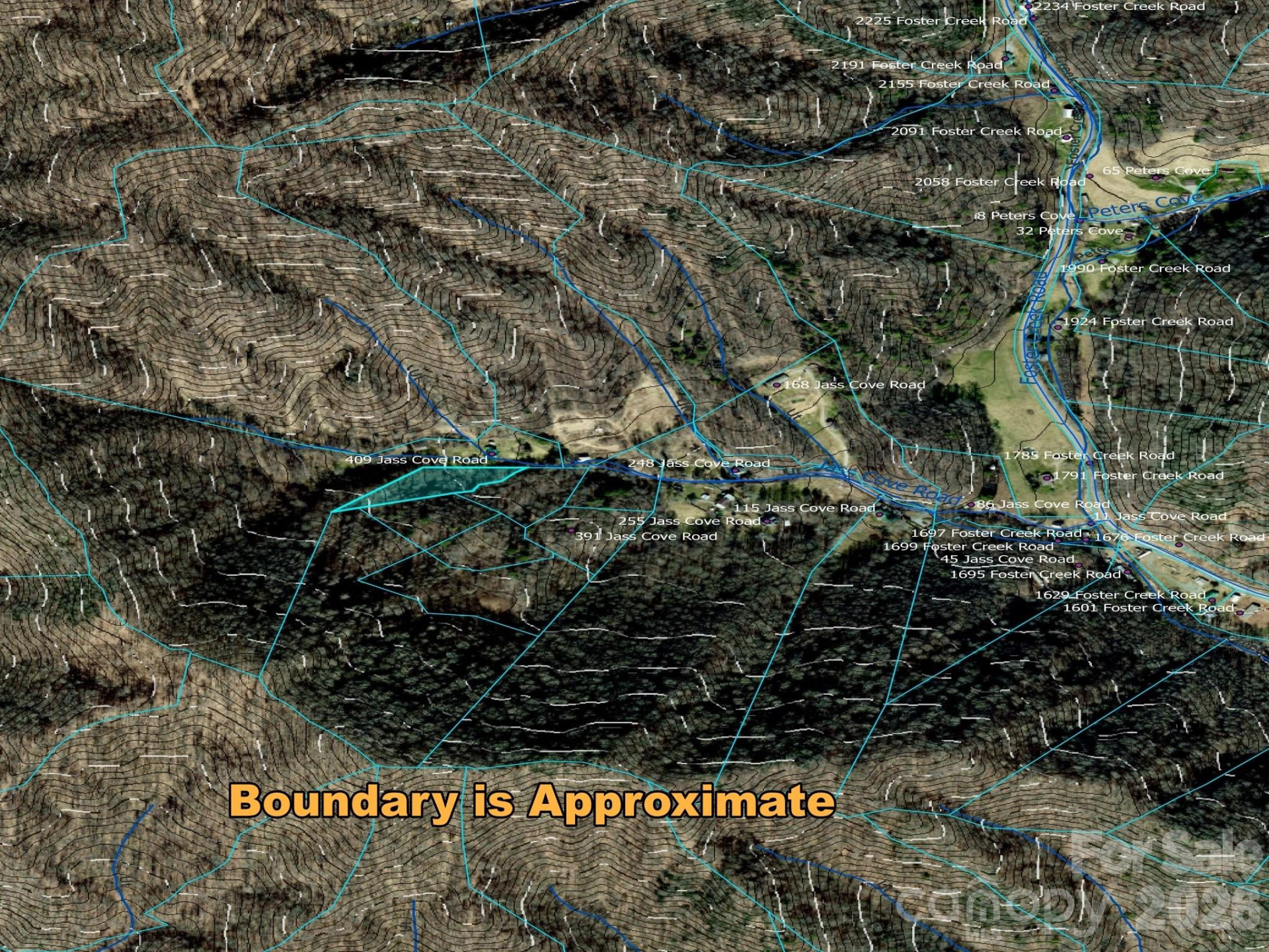 TBD 1.21 Acres Jass Cove Road - Photo 3