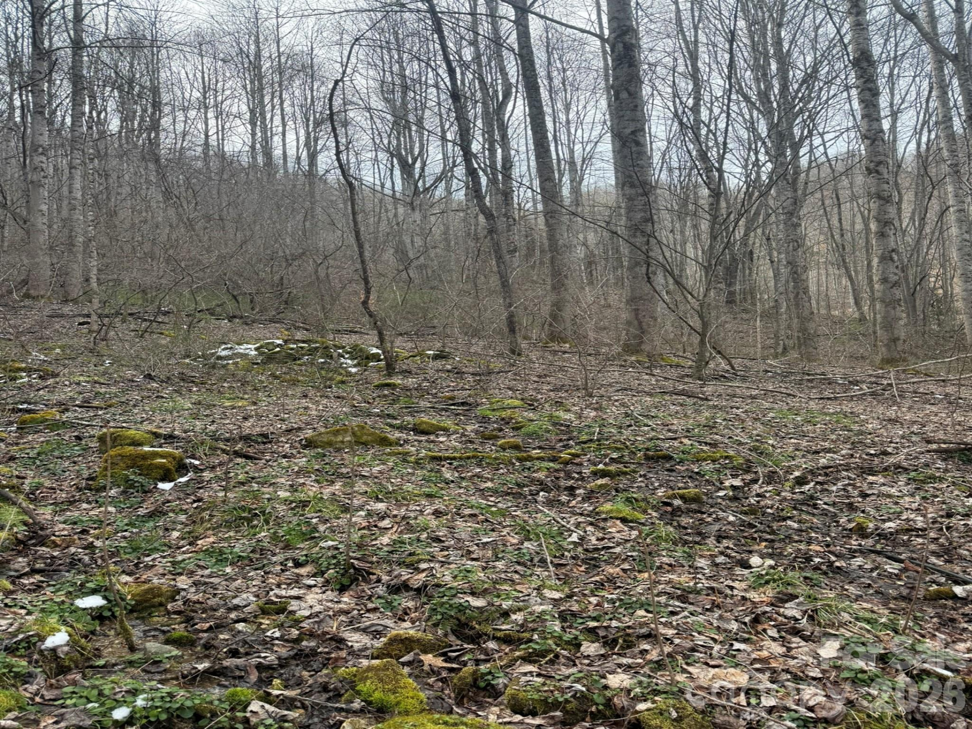 TBD 1.21 Acres Jass Cove Road - Photo 5