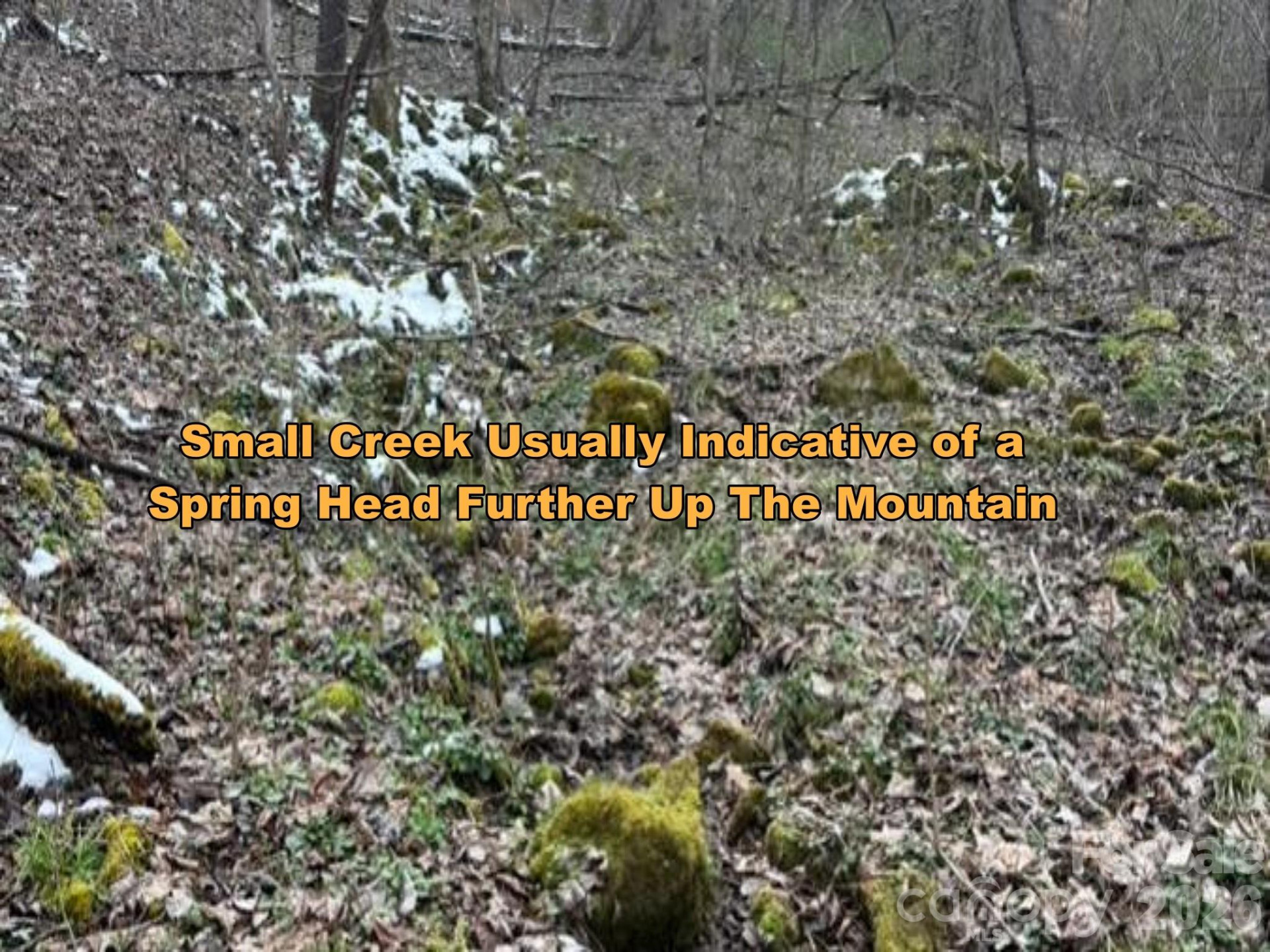 TBD 1.21 Acres Jass Cove Road - Photo 9