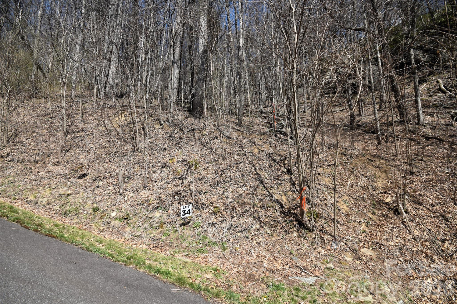 34 Montana Stone Trail #34 - Photo 4