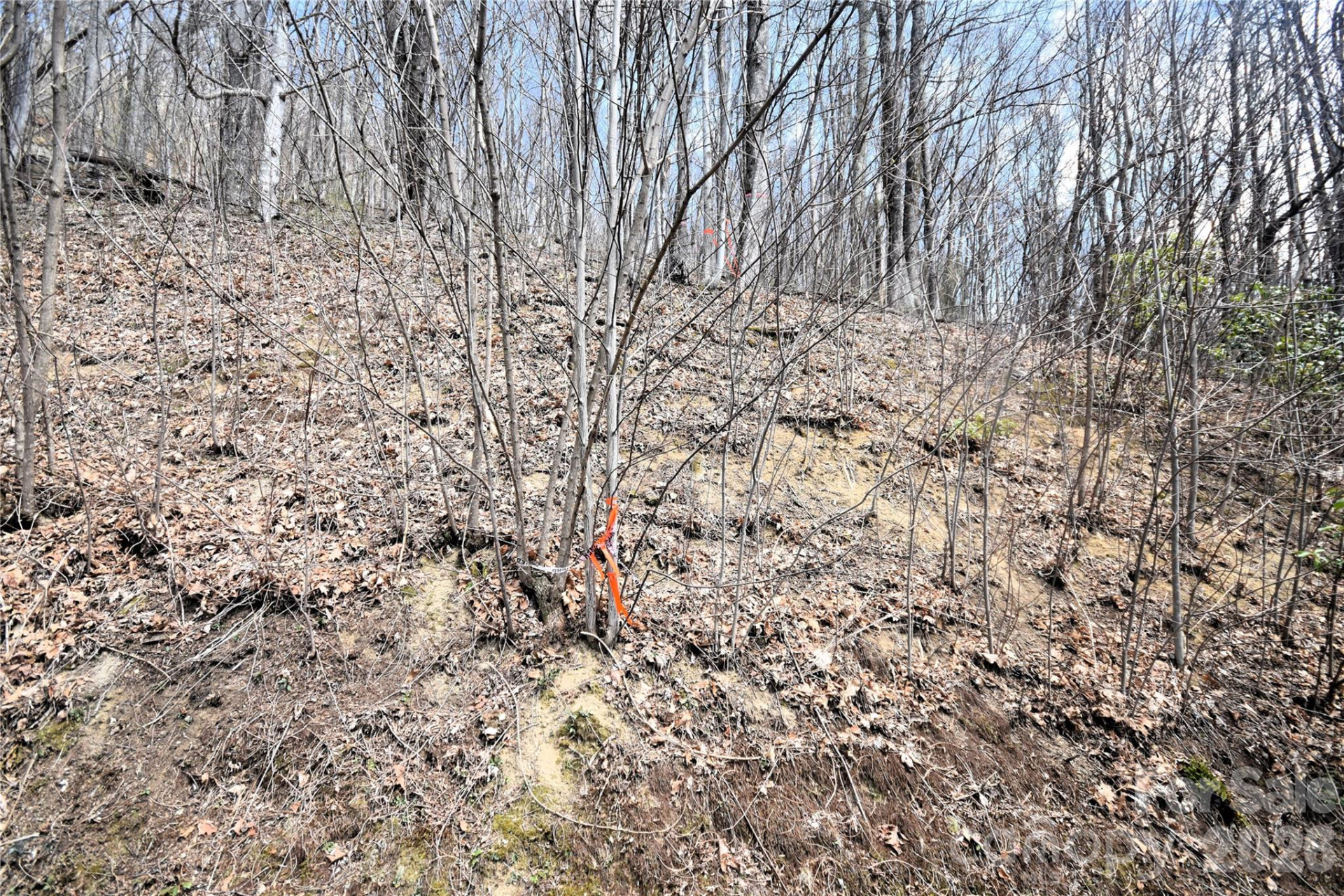 34 Montana Stone Trail #34 - Photo 6