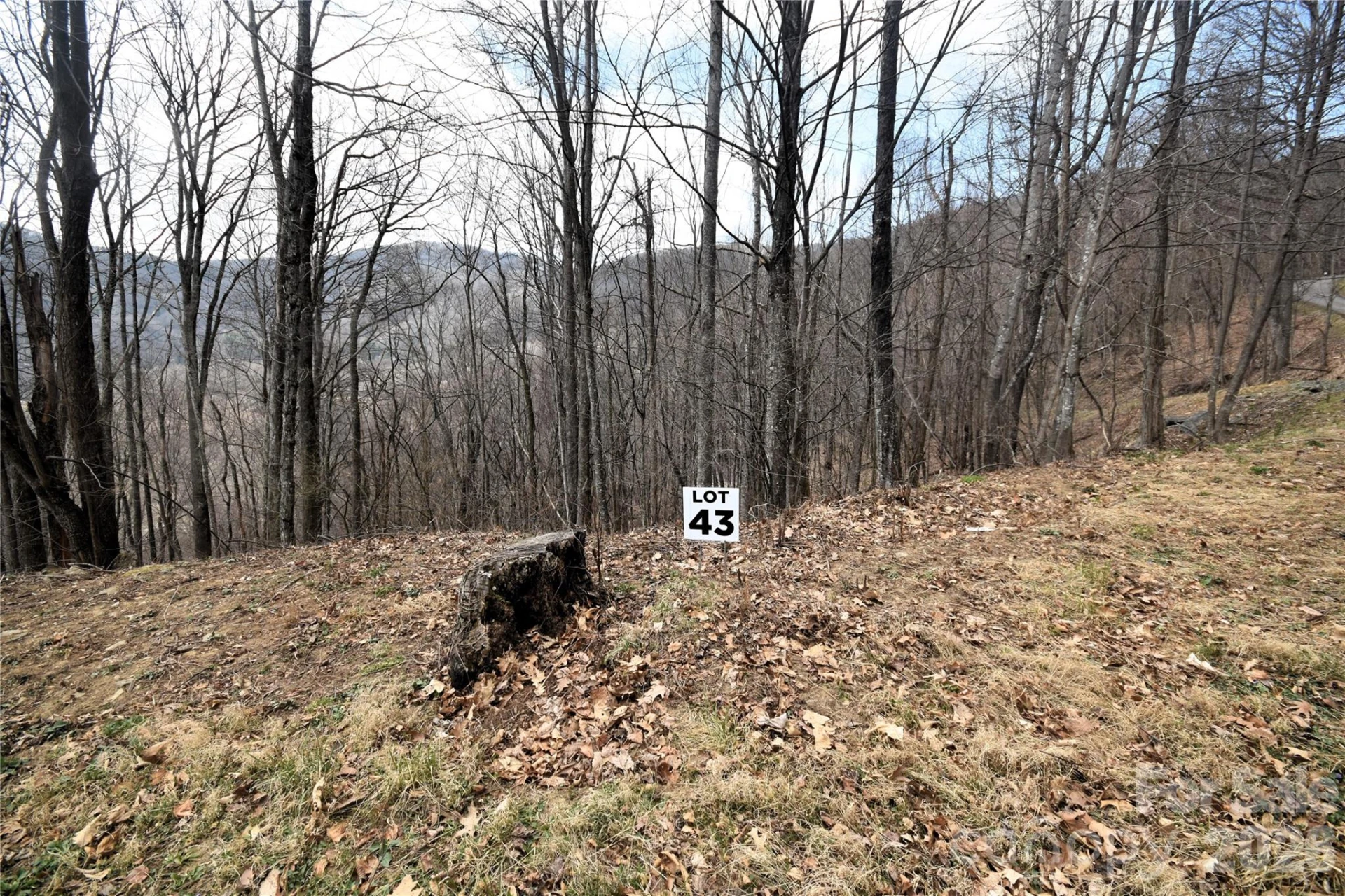 43 Marble Stone Drive #43 - Photo 2