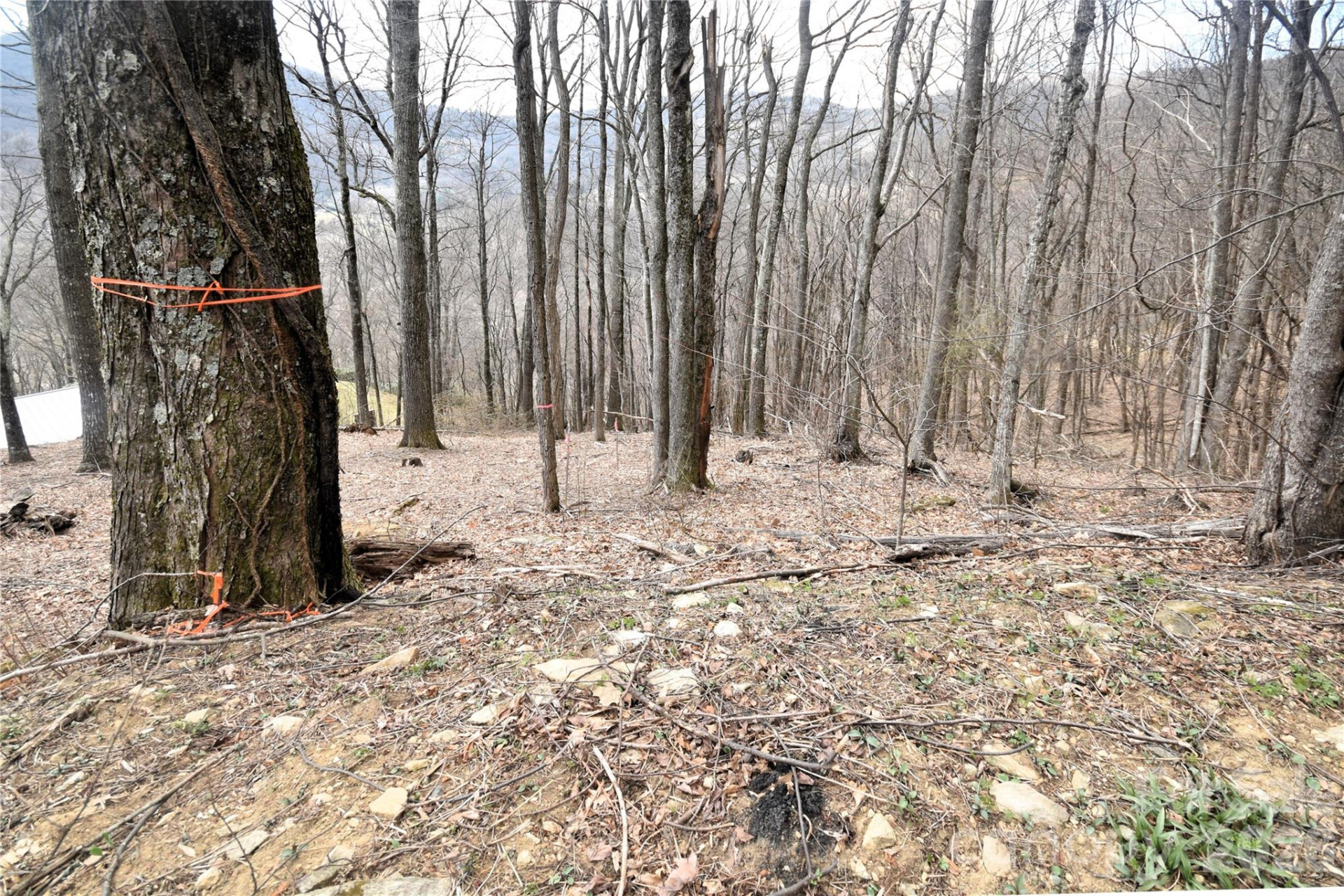 43 Marble Stone Drive #43 - Photo 3