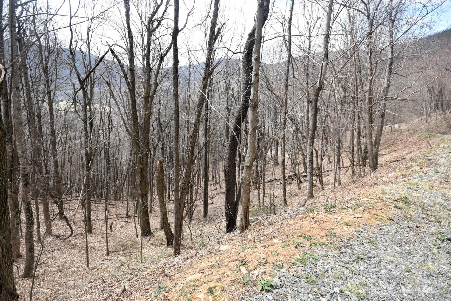 43 Marble Stone Drive #43 - Photo 4